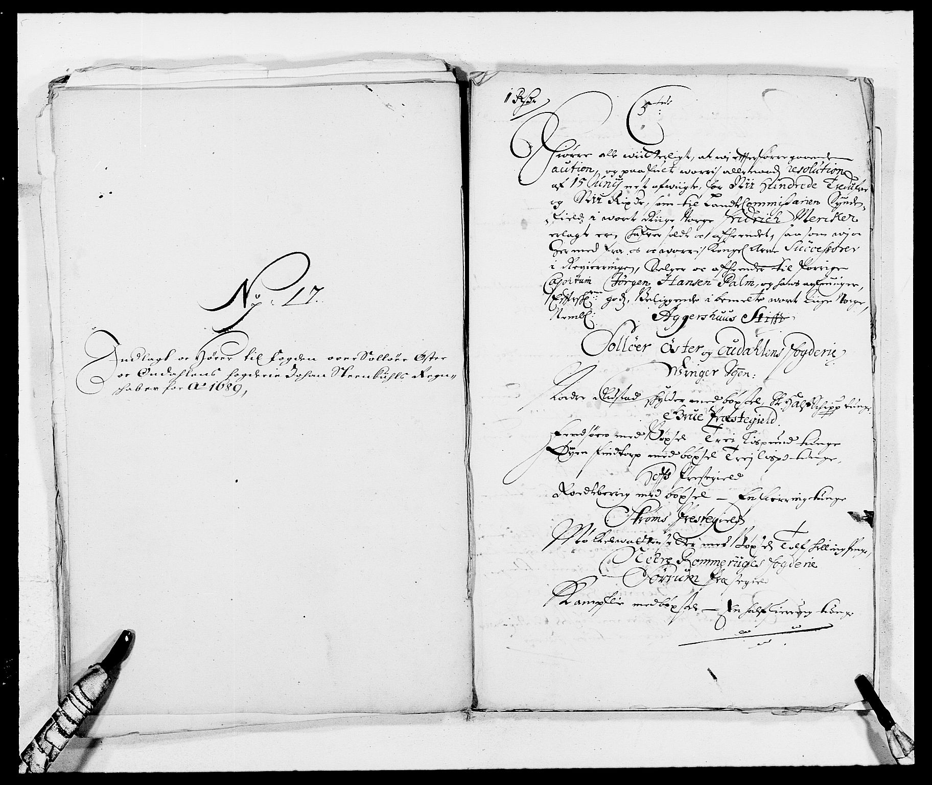 Rentekammeret inntil 1814, Reviderte regnskaper, Fogderegnskap, RA/EA-4092/R13/L0827: Fogderegnskap Solør, Odal og Østerdal, 1689, p. 393