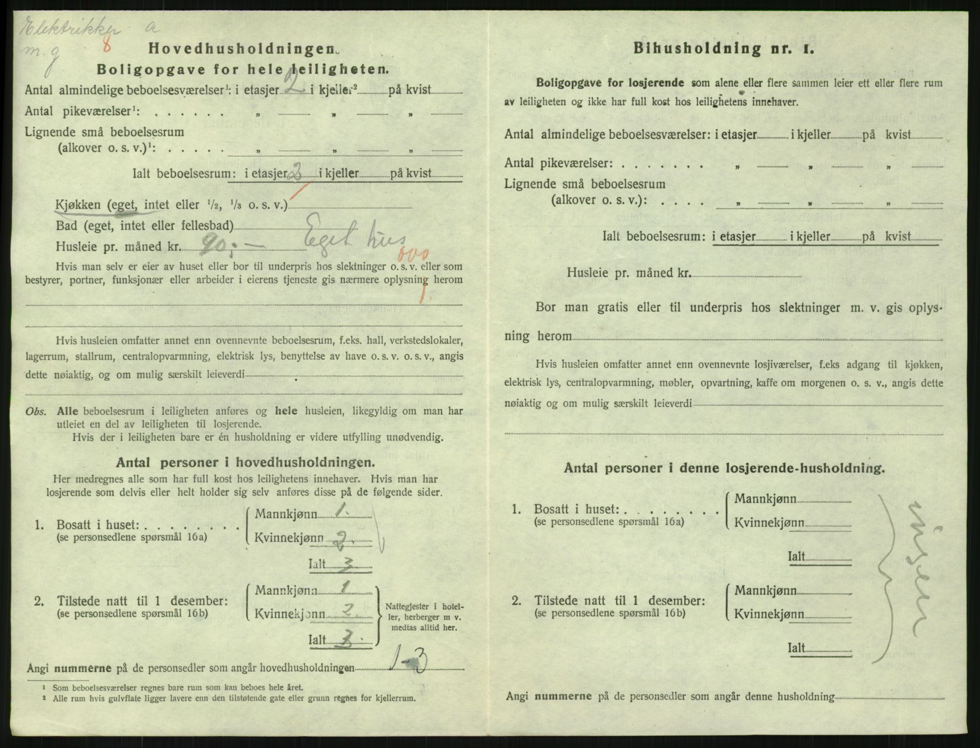 SAKO, 1920 census for Horten, 1920, p. 6294