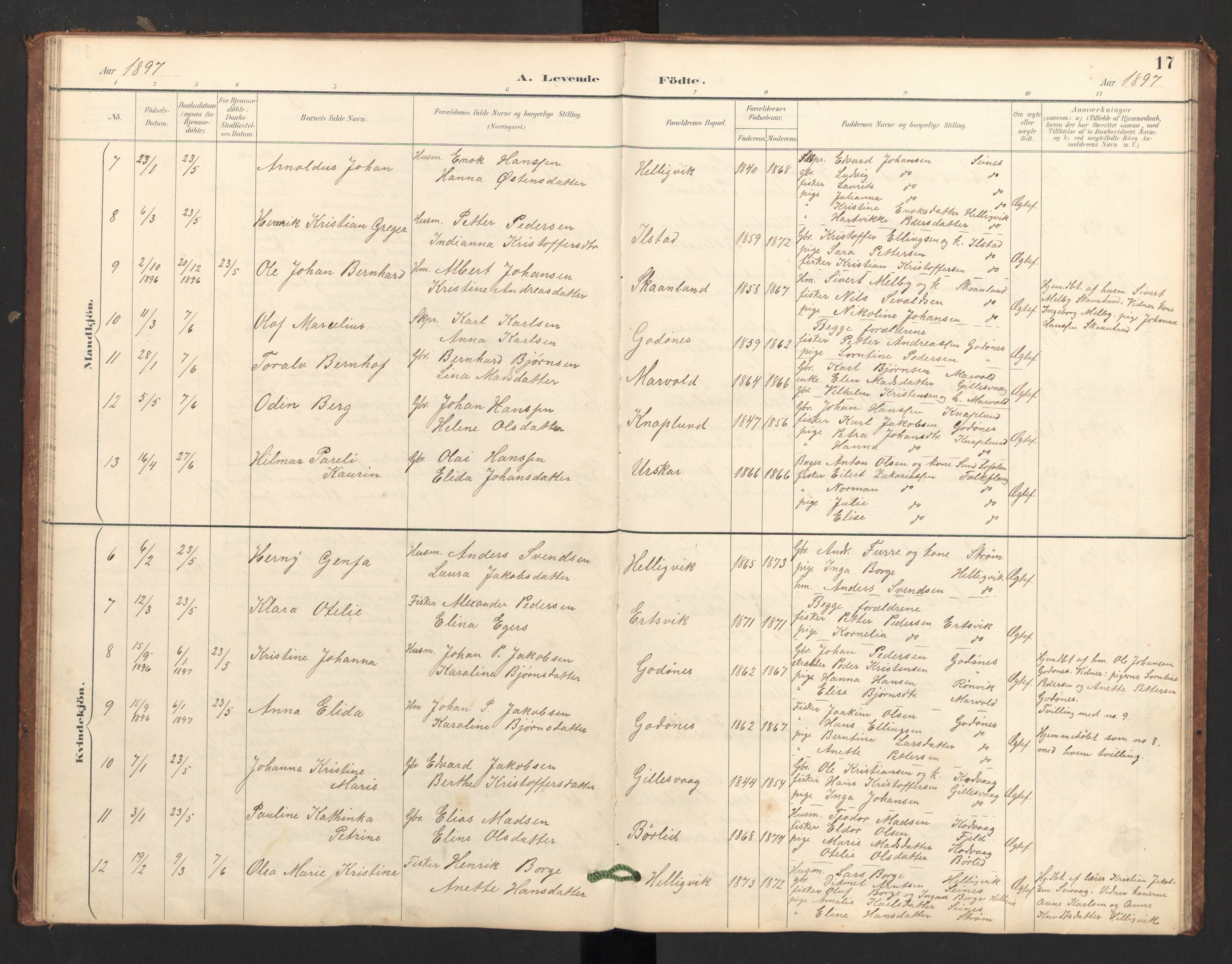 Ministerialprotokoller, klokkerbøker og fødselsregistre - Nordland, AV/SAT-A-1459/804/L0087: Parish register (official) no. 804A08, 1894-1907, p. 17