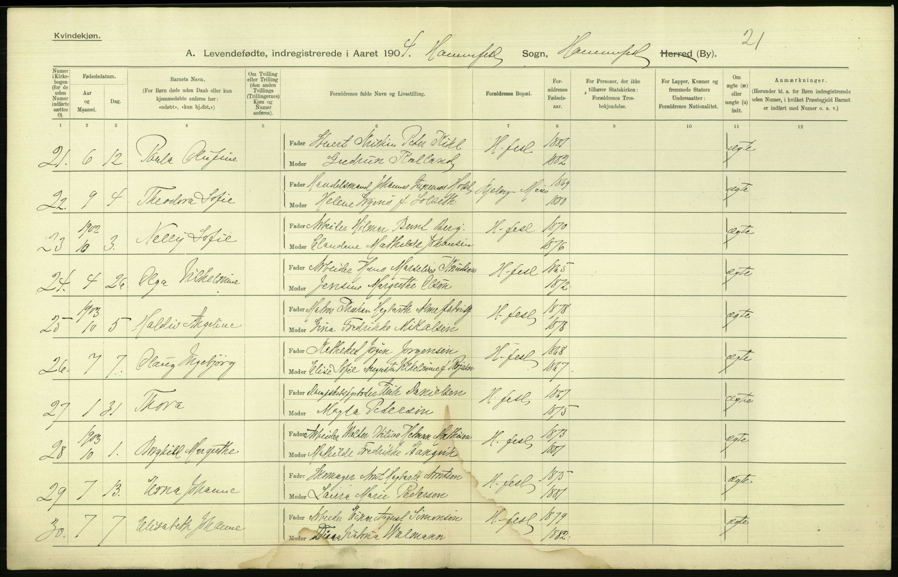 Statistisk sentralbyrå, Sosiodemografiske emner, Befolkning, AV/RA-S-2228/D/Df/Dfa/Dfab/L0023: Finnmarkens amt: Fødte, gifte, døde, 1904, p. 134