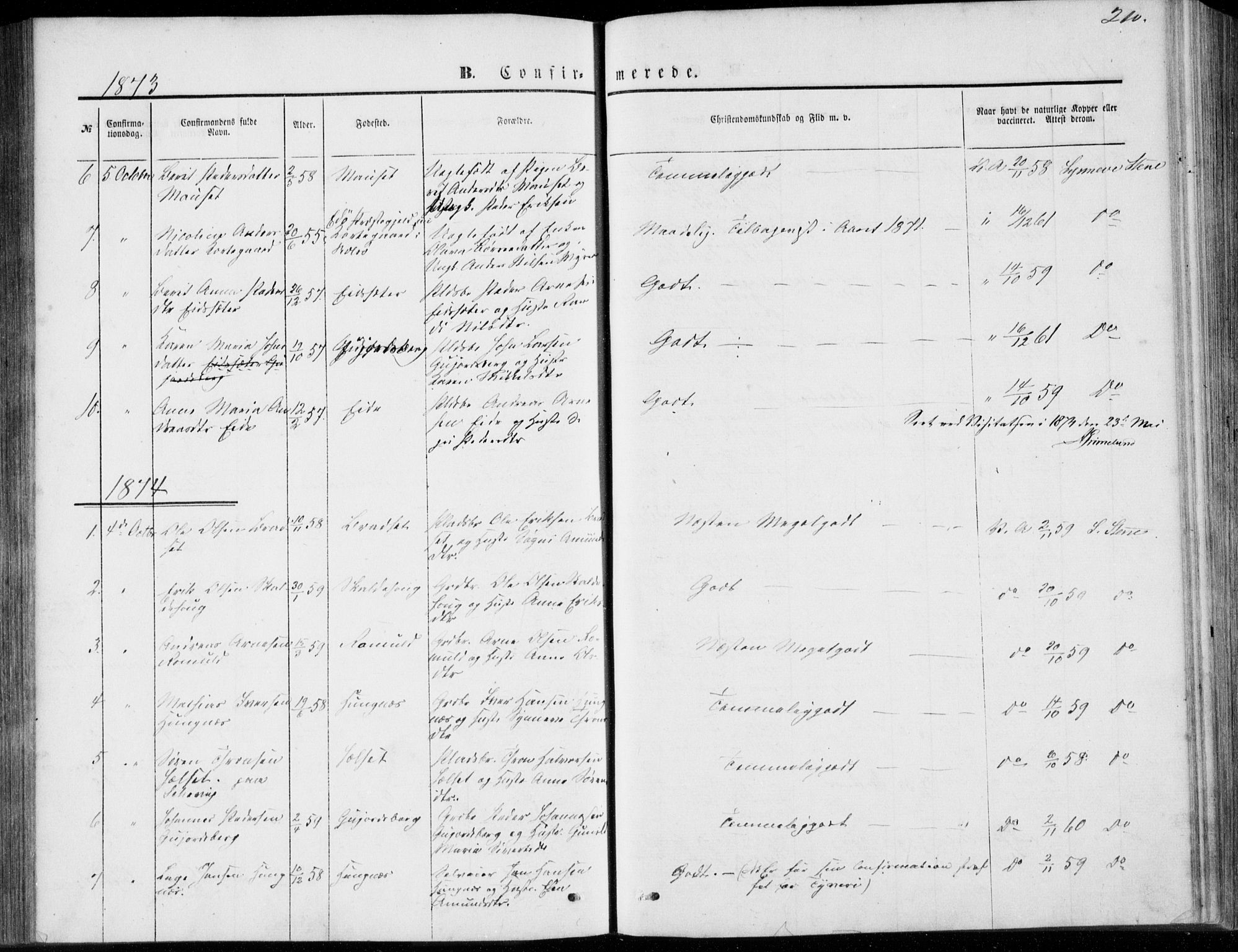 Ministerialprotokoller, klokkerbøker og fødselsregistre - Møre og Romsdal, SAT/A-1454/557/L0681: Parish register (official) no. 557A03, 1869-1886, p. 210