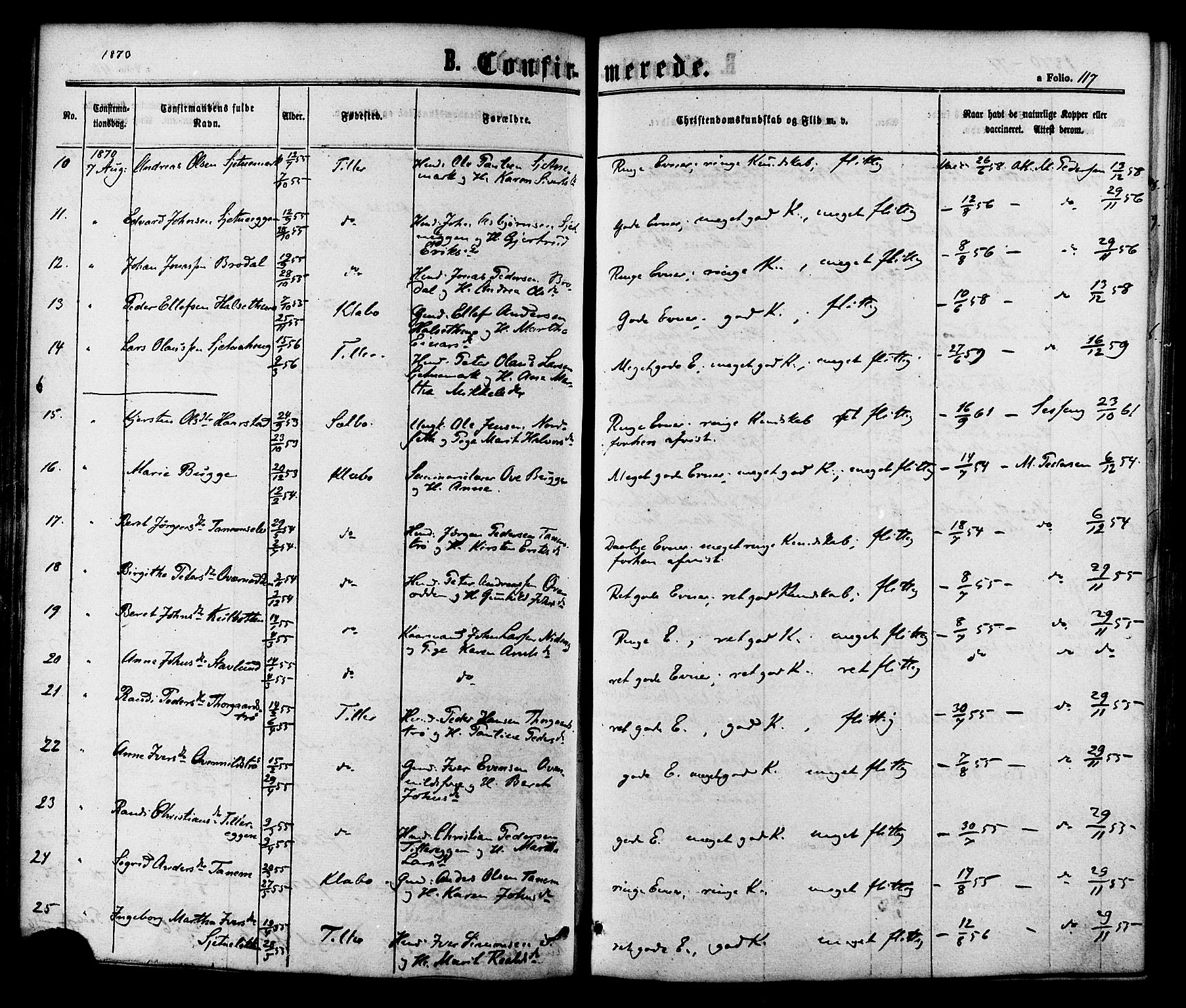 Ministerialprotokoller, klokkerbøker og fødselsregistre - Sør-Trøndelag, SAT/A-1456/618/L0442: Parish register (official) no. 618A06 /1, 1863-1879, p. 117
