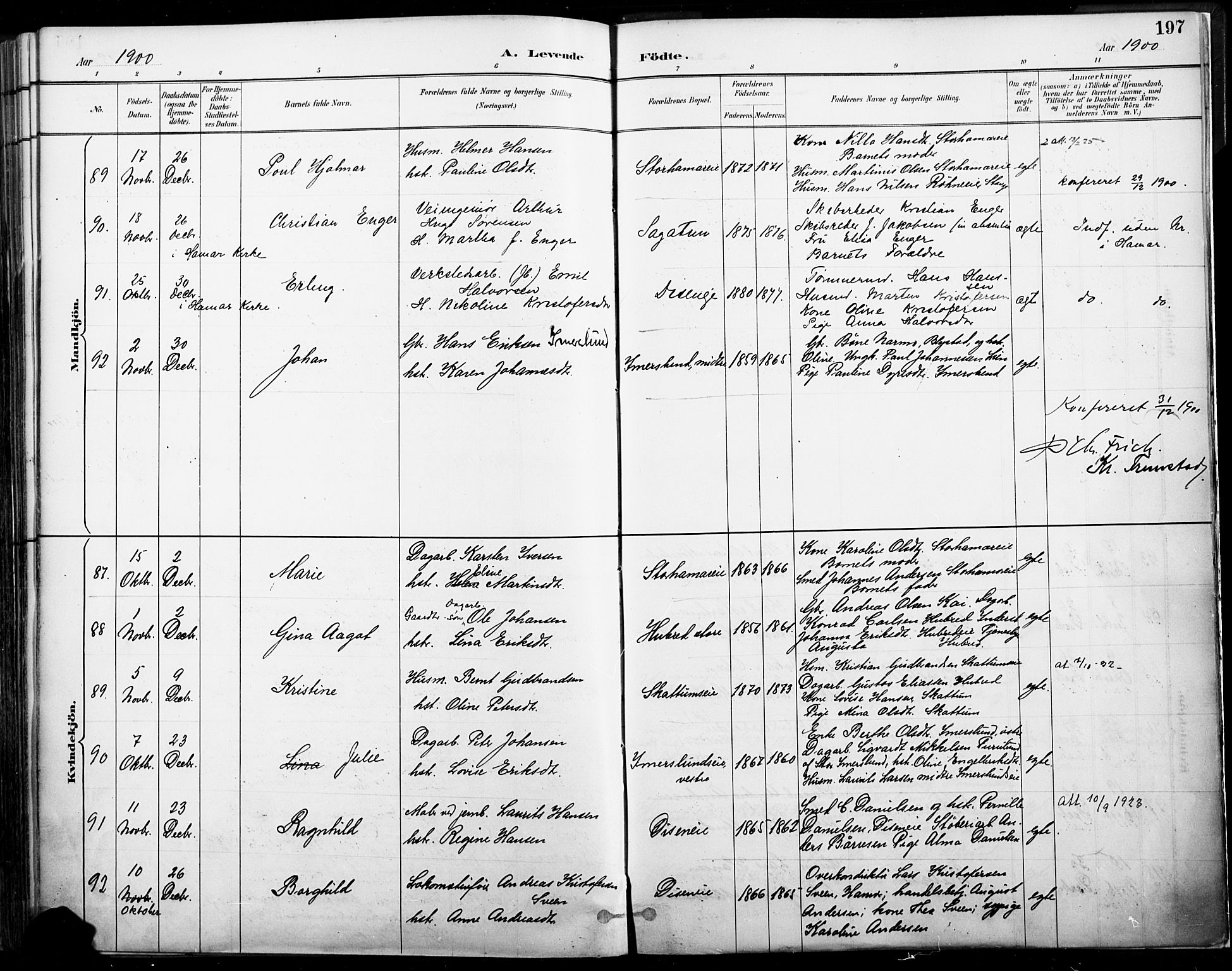 Vang prestekontor, Hedmark, SAH/PREST-008/H/Ha/Haa/L0019A: Parish register (official) no. 19, 1886-1900, p. 197