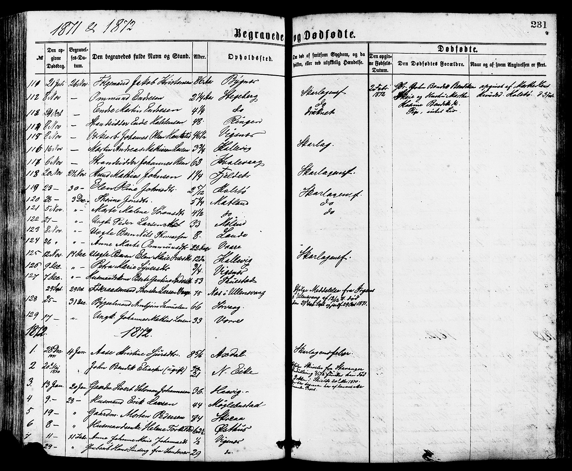 Avaldsnes sokneprestkontor, SAST/A -101851/H/Ha/Haa/L0012: Parish register (official) no. A 12, 1865-1880, p. 231