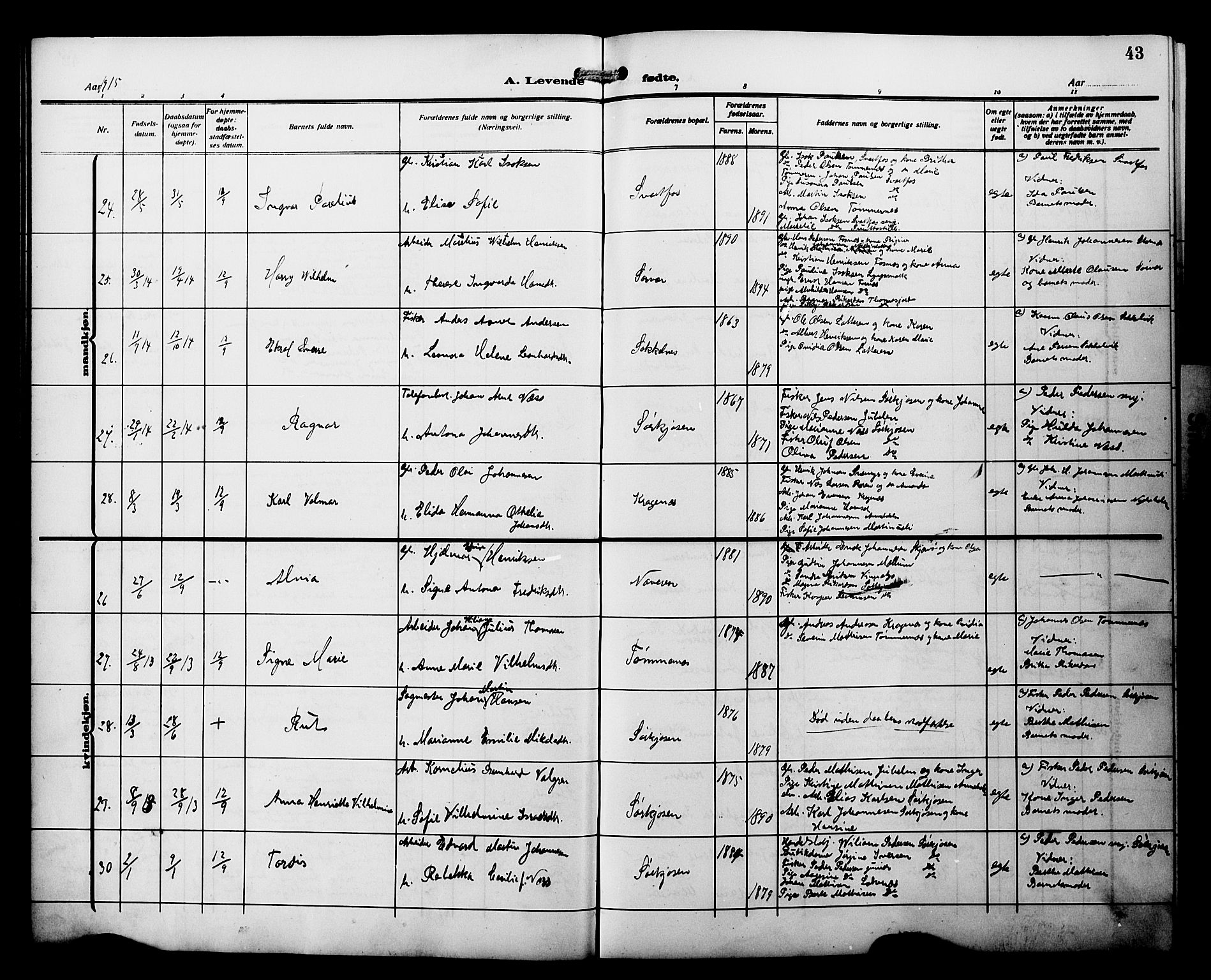 Skjervøy sokneprestkontor, AV/SATØ-S-1300/H/Ha/Hab/L0022klokker: Parish register (copy) no. 22, 1910-1926, p. 43