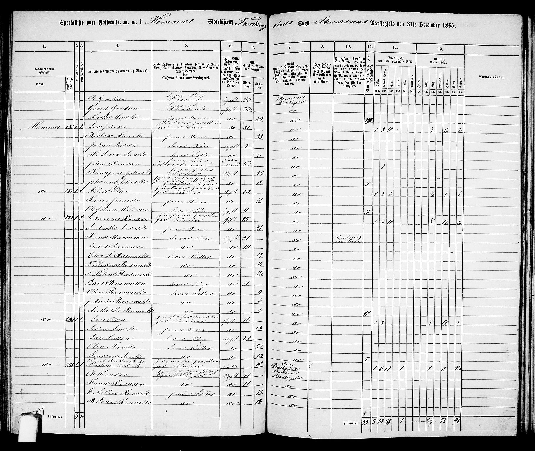 RA, 1865 census for Skudenes, 1865, p. 120