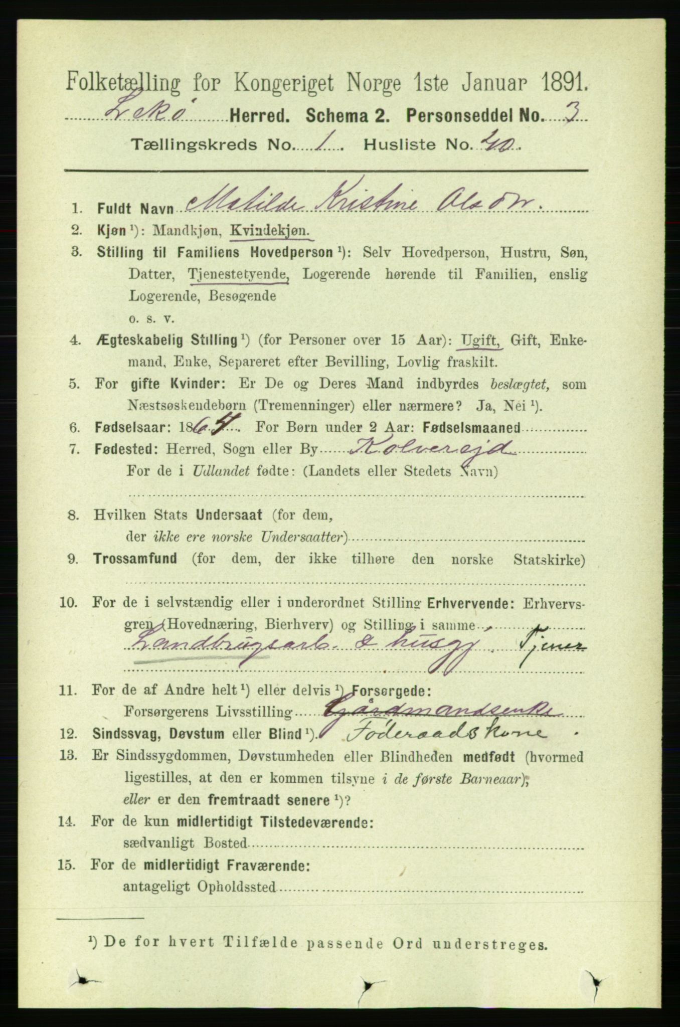 RA, 1891 census for 1755 Leka, 1891, p. 397