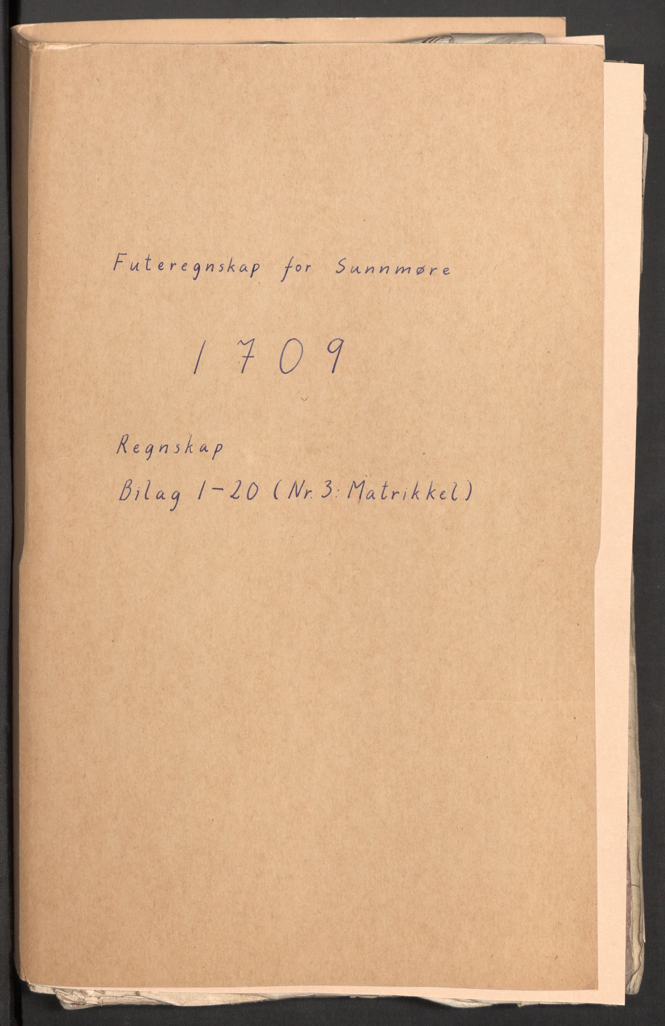 Rentekammeret inntil 1814, Reviderte regnskaper, Fogderegnskap, AV/RA-EA-4092/R54/L3562: Fogderegnskap Sunnmøre, 1708-1709, p. 241
