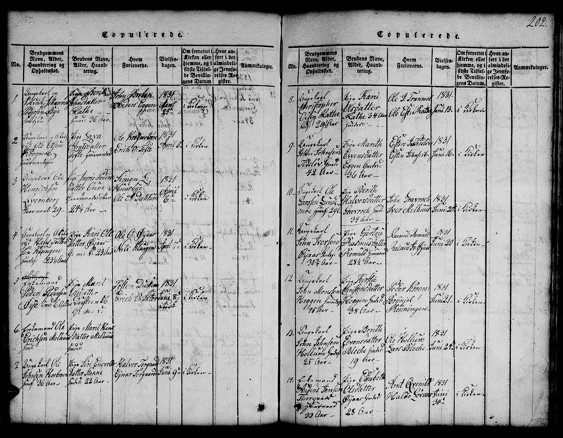 Ministerialprotokoller, klokkerbøker og fødselsregistre - Sør-Trøndelag, SAT/A-1456/691/L1092: Parish register (copy) no. 691C03, 1816-1852, p. 202