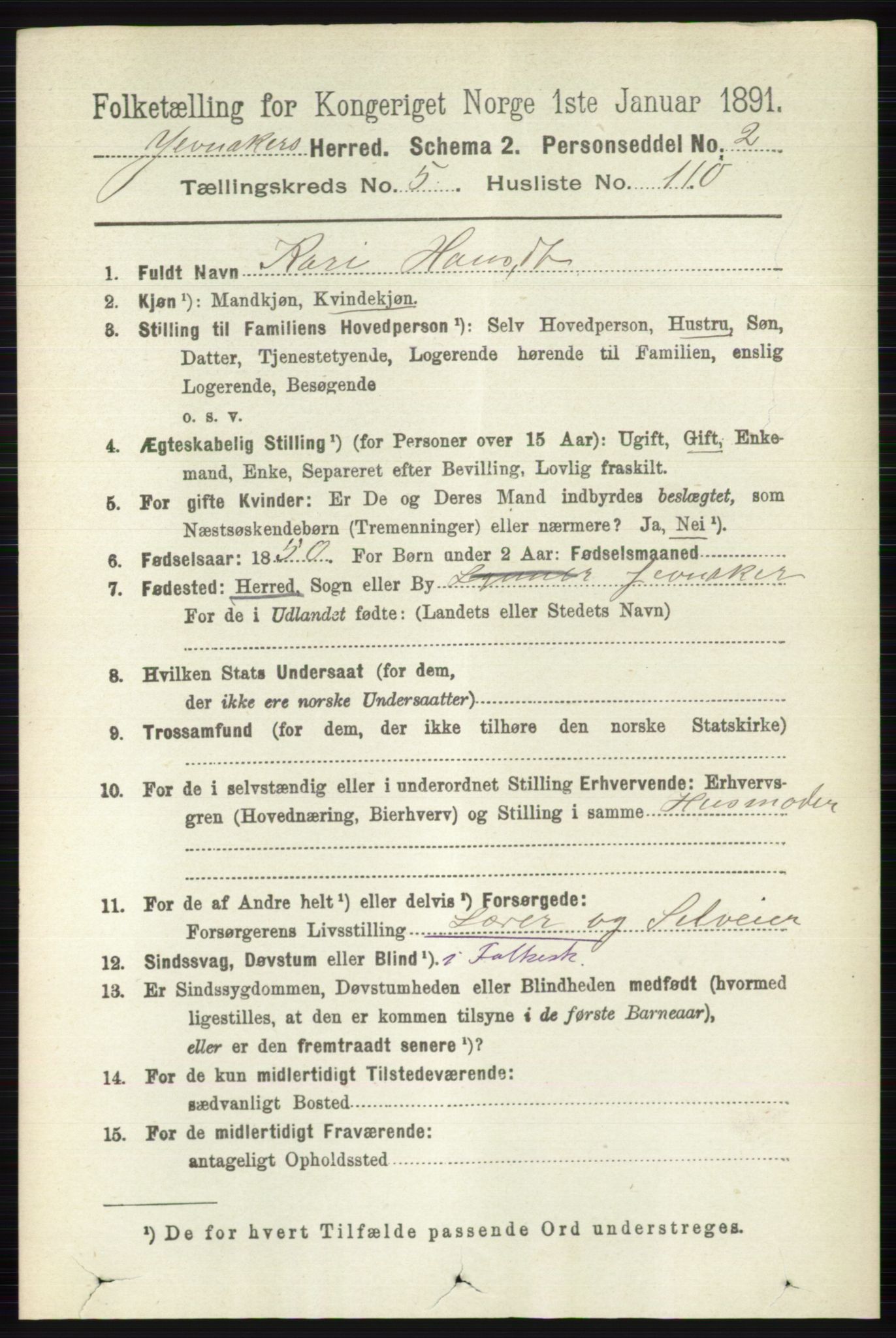 RA, 1891 census for 0532 Jevnaker, 1891, p. 3005