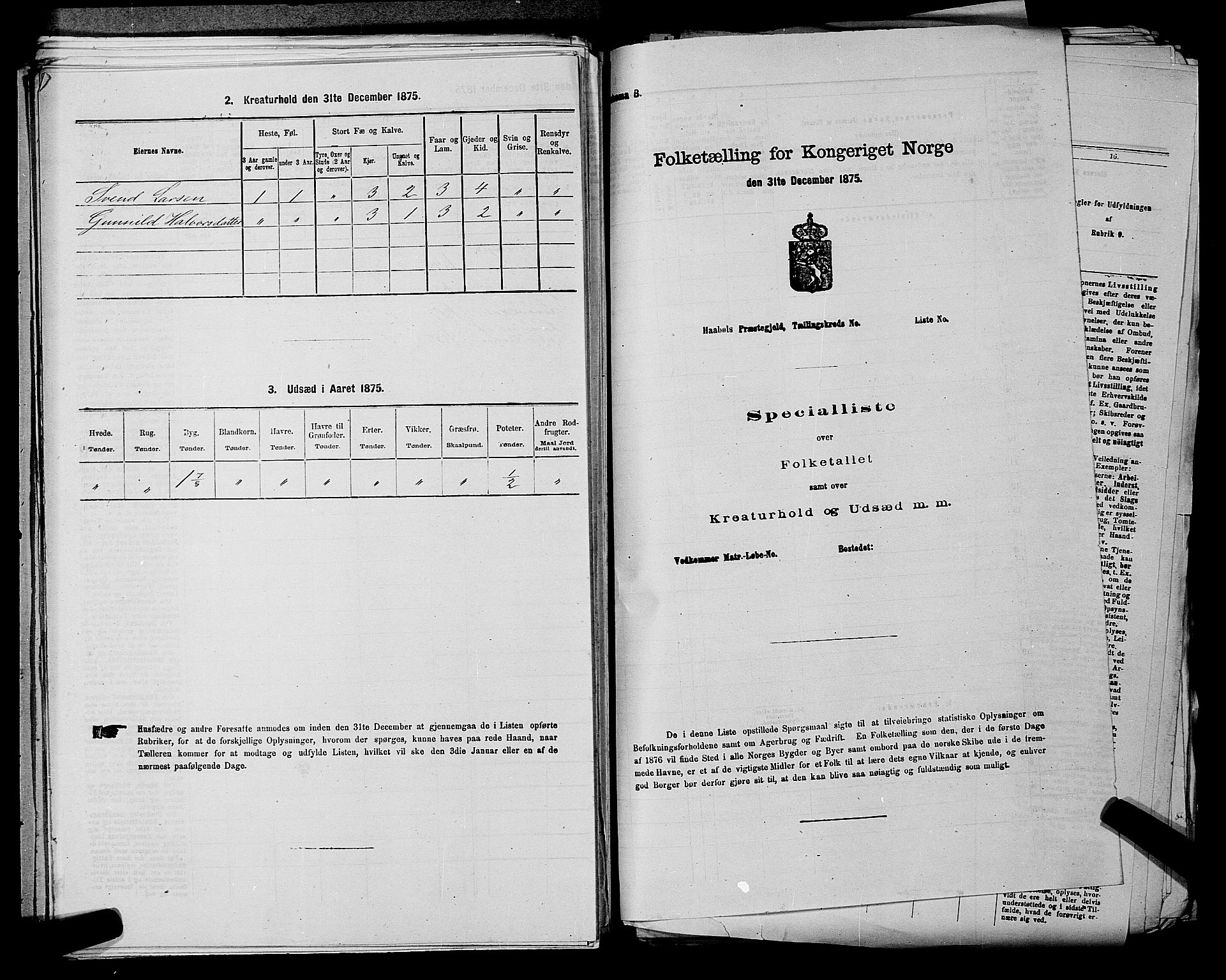 SAKO, 1875 census for 0620P Hol, 1875, p. 156