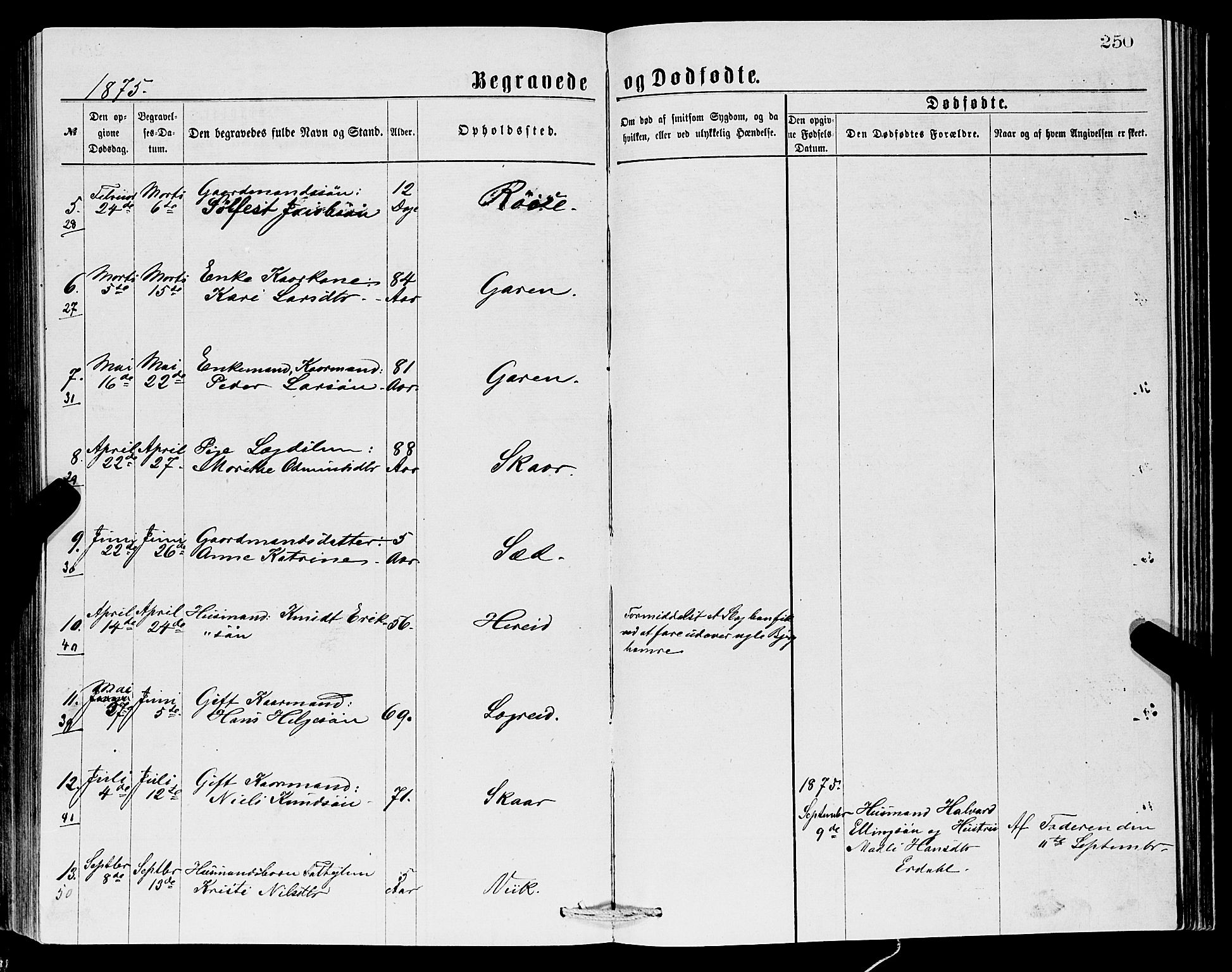 Ullensvang sokneprestembete, SAB/A-78701/H/Hab: Parish register (copy) no. C 2, 1871-1899, p. 250