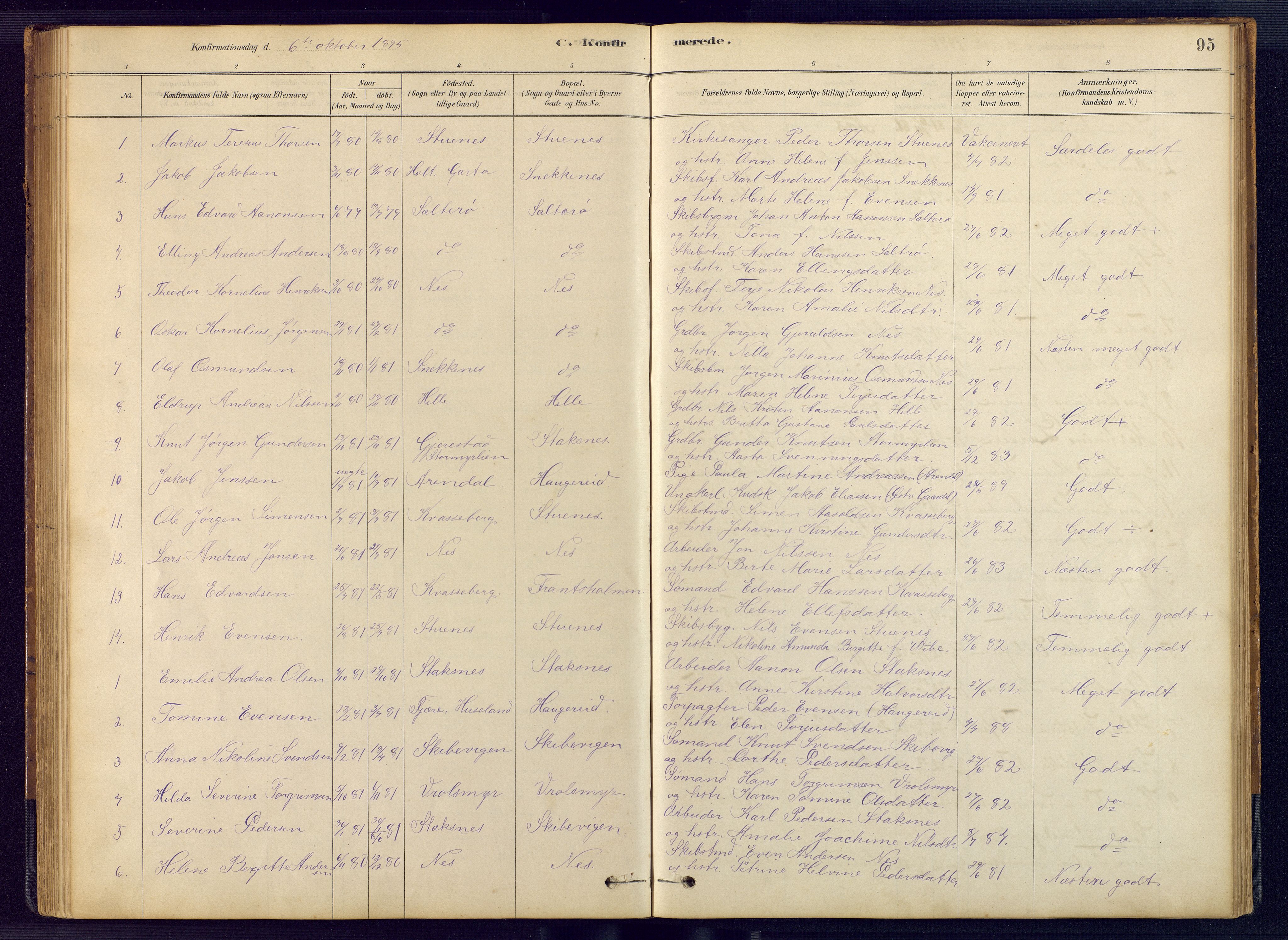 Austre Moland sokneprestkontor, AV/SAK-1111-0001/F/Fb/Fbb/L0001: Parish register (copy) no. B 1, 1878-1904, p. 95