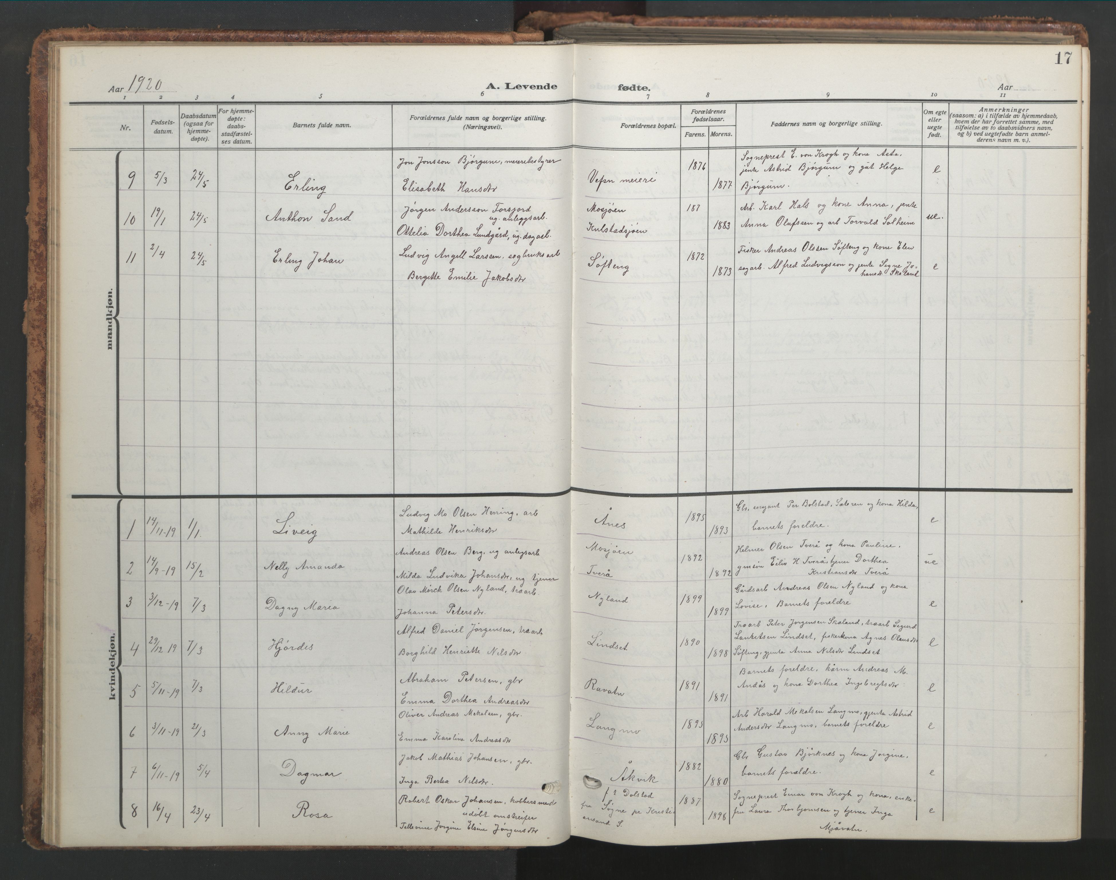 Ministerialprotokoller, klokkerbøker og fødselsregistre - Nordland, AV/SAT-A-1459/820/L0302: Parish register (copy) no. 820C04, 1917-1948, p. 17