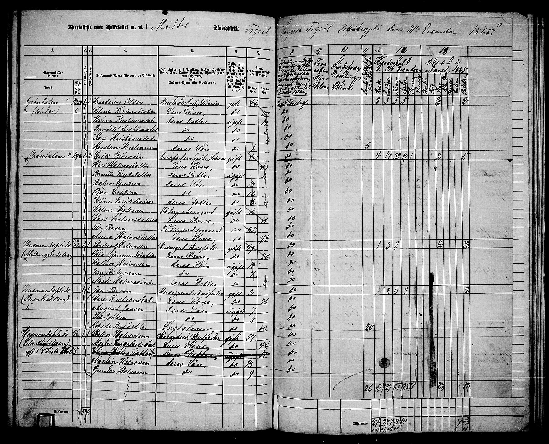 RA, 1865 census for Trysil, 1865, p. 123