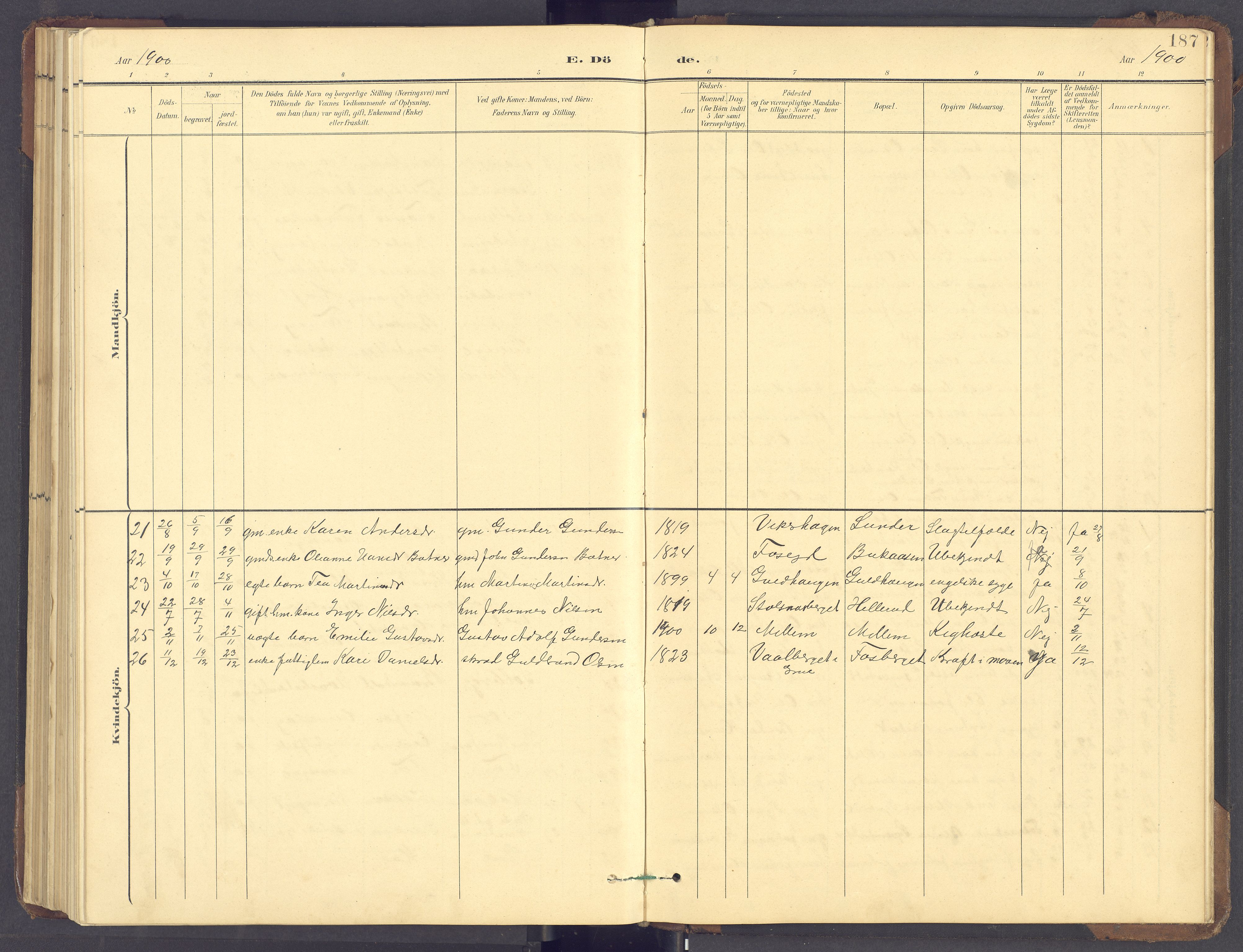 Brandval prestekontor, AV/SAH-PREST-034/H/Ha/Hab/L0002: Parish register (copy) no. 2, 1895-1904, p. 187