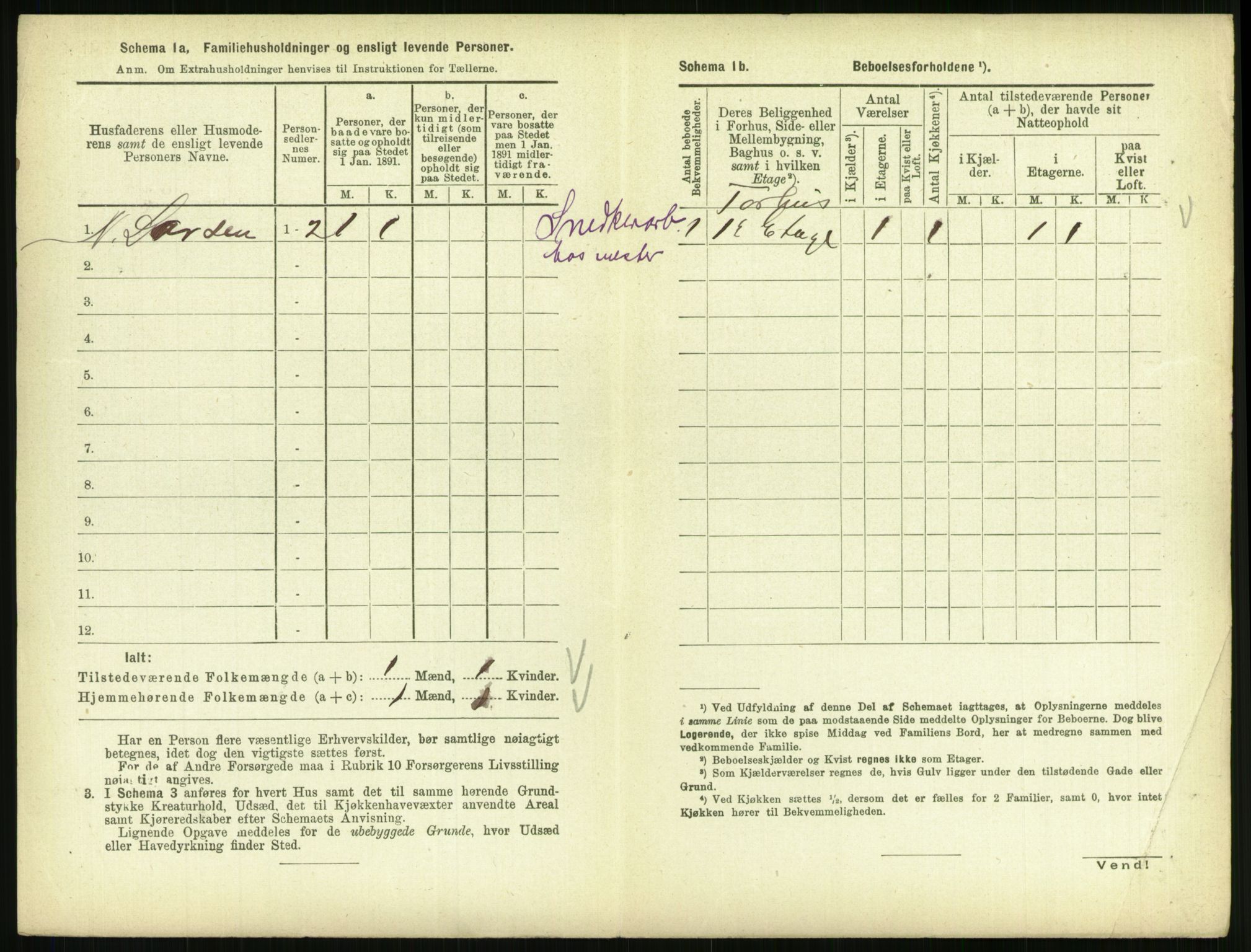 RA, 1891 census for 0804 Brevik, 1891, p. 274