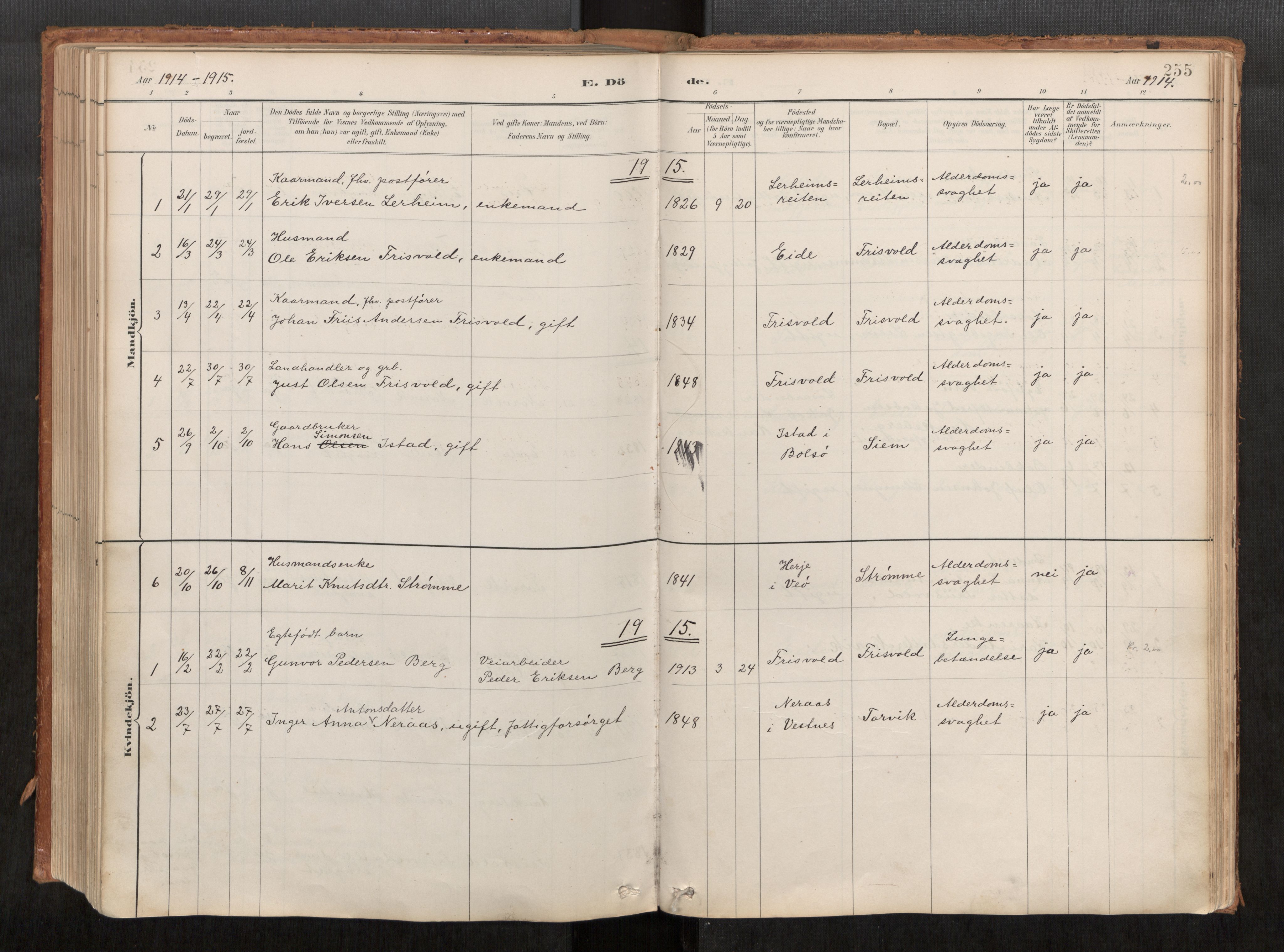 Ministerialprotokoller, klokkerbøker og fødselsregistre - Møre og Romsdal, AV/SAT-A-1454/542/L0553: Parish register (official) no. 542A03, 1885-1925, p. 255