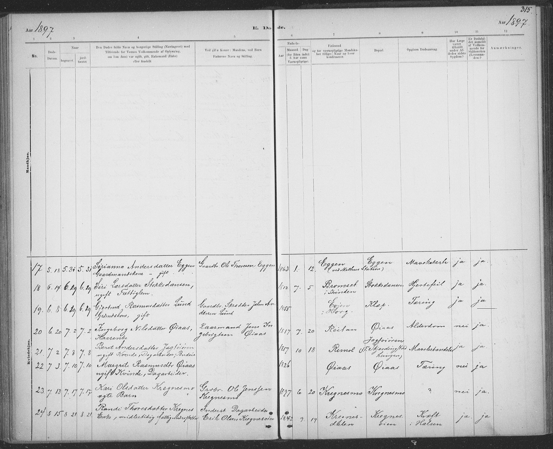 Ministerialprotokoller, klokkerbøker og fødselsregistre - Sør-Trøndelag, AV/SAT-A-1456/691/L1085: Parish register (official) no. 691A17, 1887-1908, p. 315