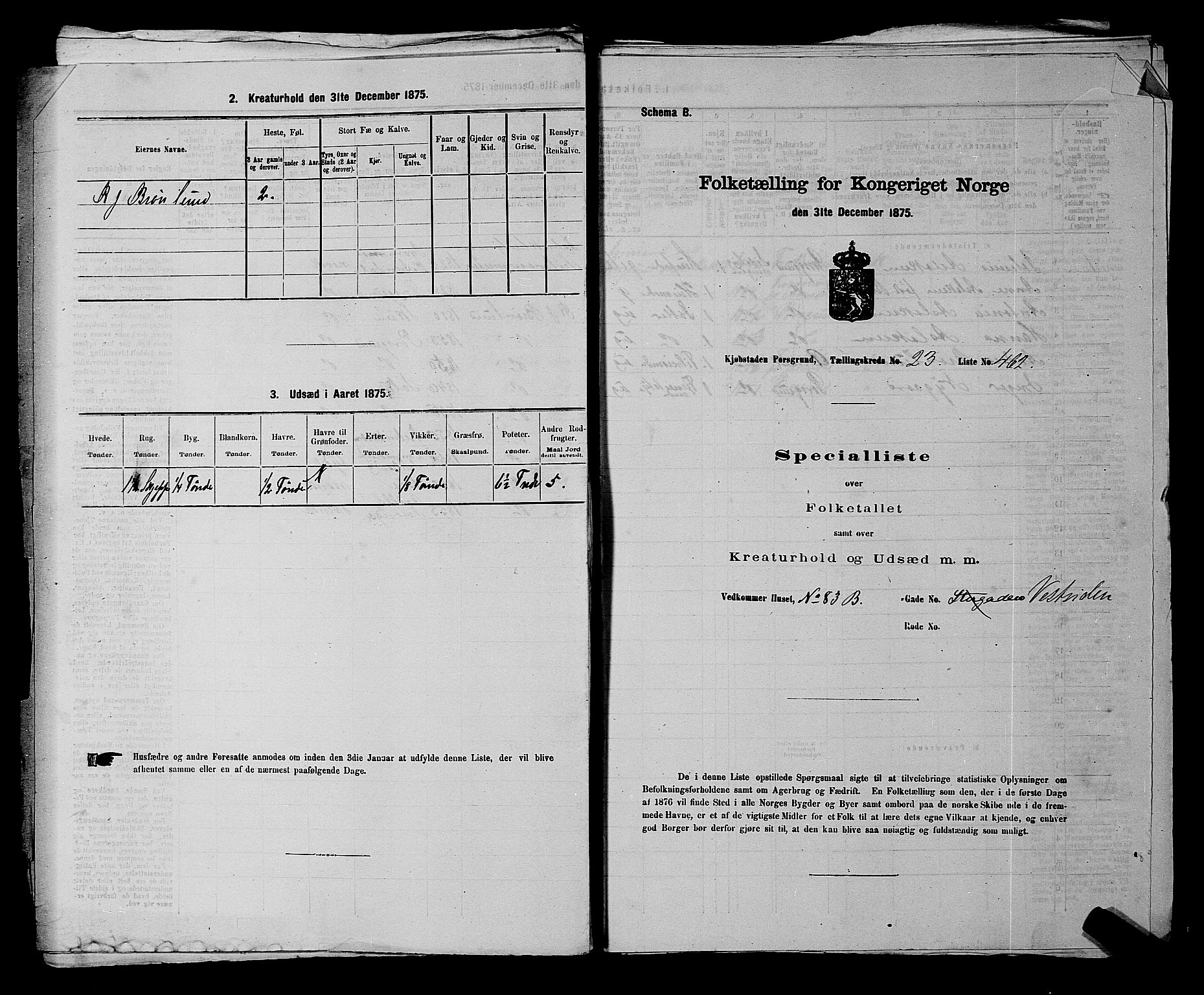 SAKO, 1875 census for 0805P Porsgrunn, 1875, p. 1035