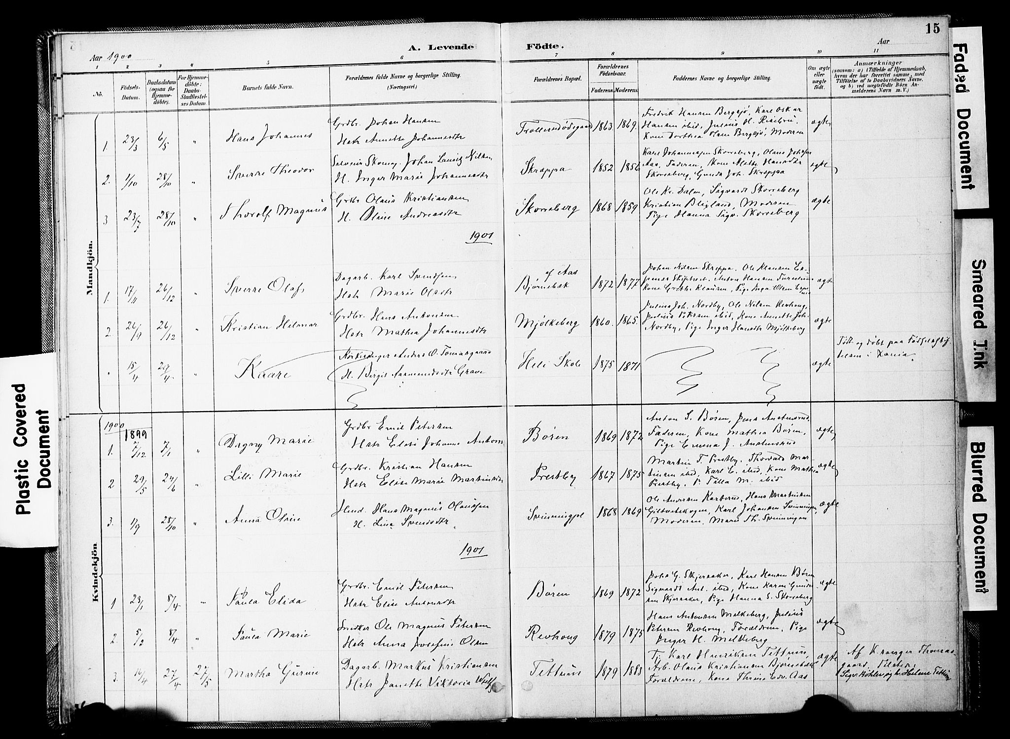 Spydeberg prestekontor Kirkebøker, SAO/A-10924/F/Fc/L0001: Parish register (official) no. III 1, 1886-1907, p. 15