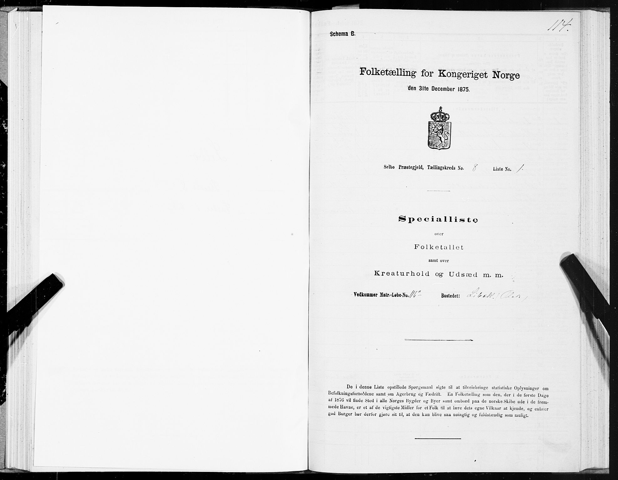 SAT, 1875 census for 1664P Selbu, 1875, p. 4114