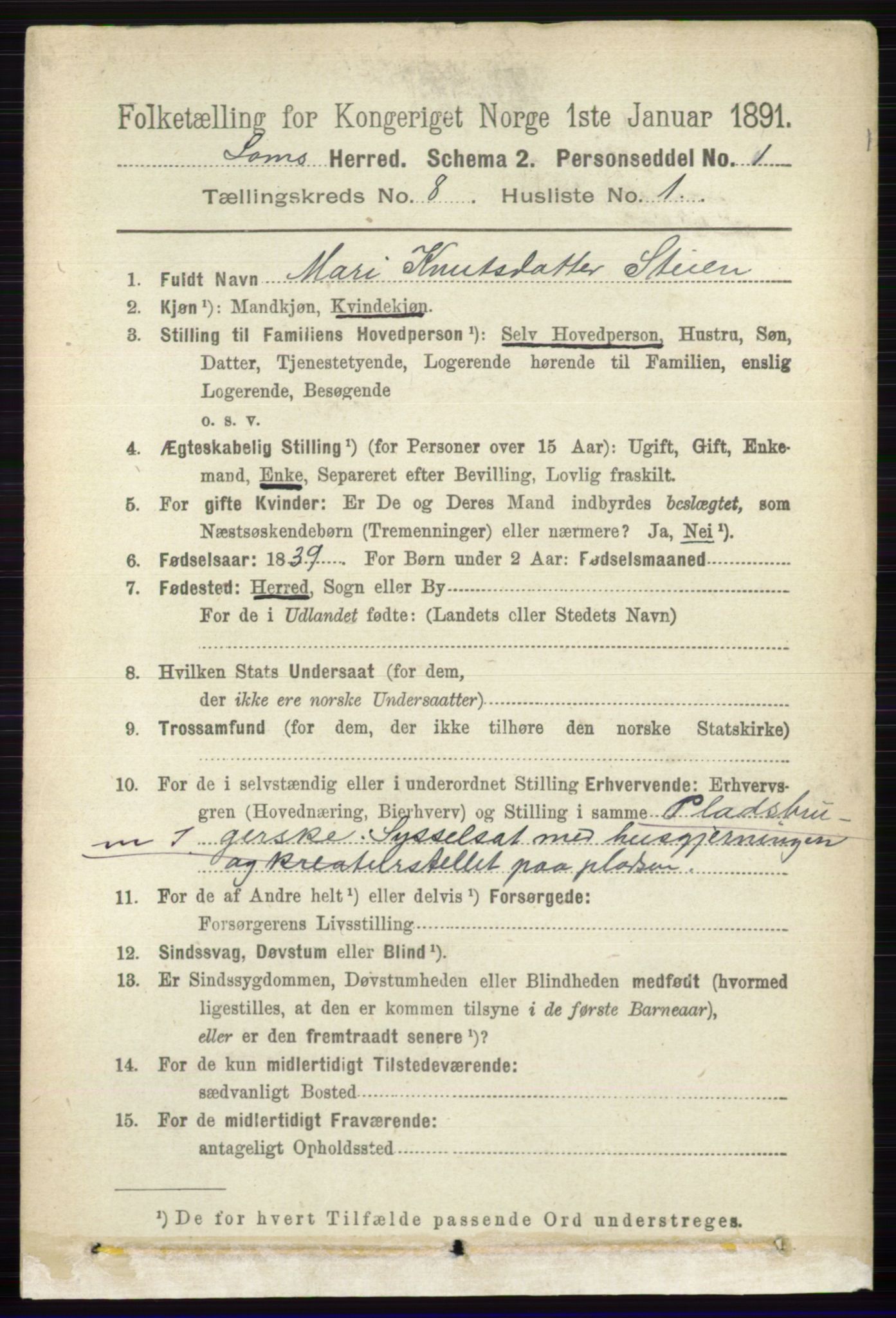 RA, 1891 census for 0514 Lom, 1891, p. 3106