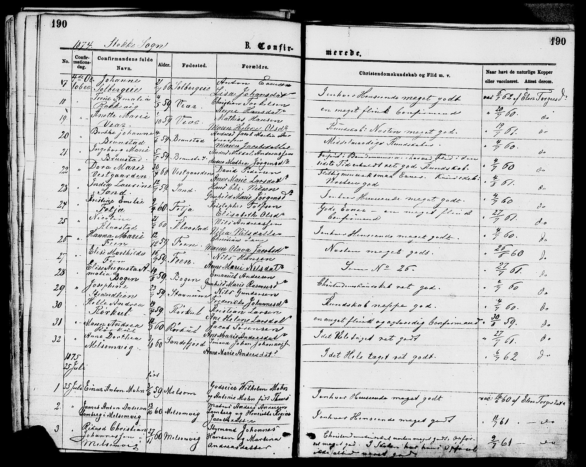 Stokke kirkebøker, SAKO/A-320/F/Fa/L0009: Parish register (official) no. I 9, 1872-1883, p. 190