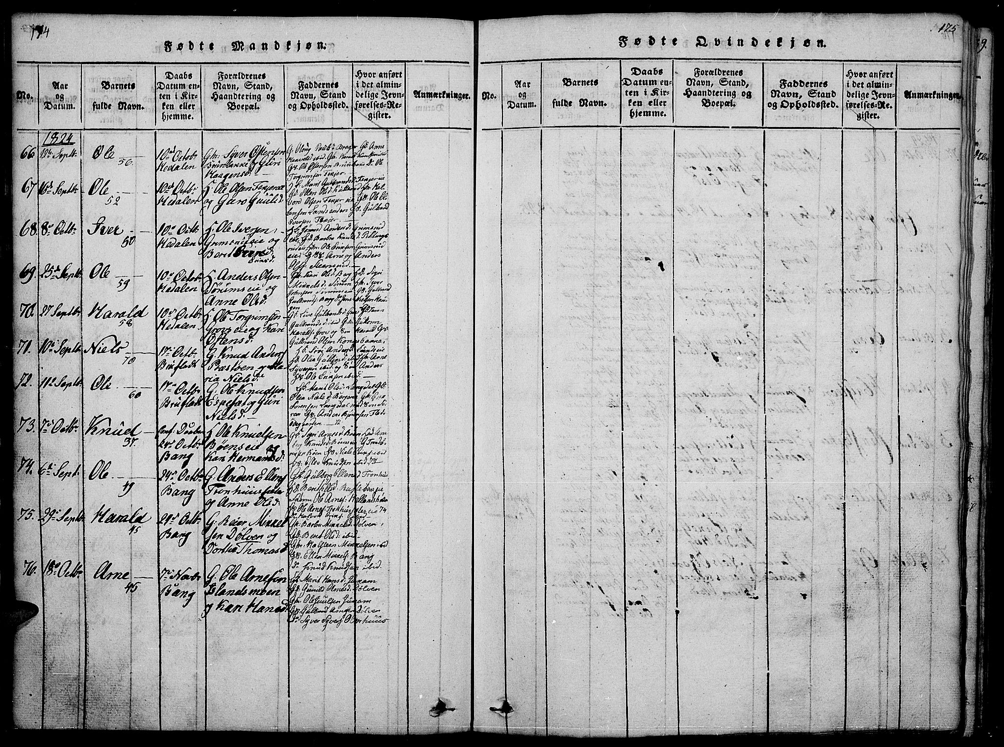 Sør-Aurdal prestekontor, SAH/PREST-128/H/Ha/Hab/L0001: Parish register (copy) no. 1, 1815-1826, p. 174-175