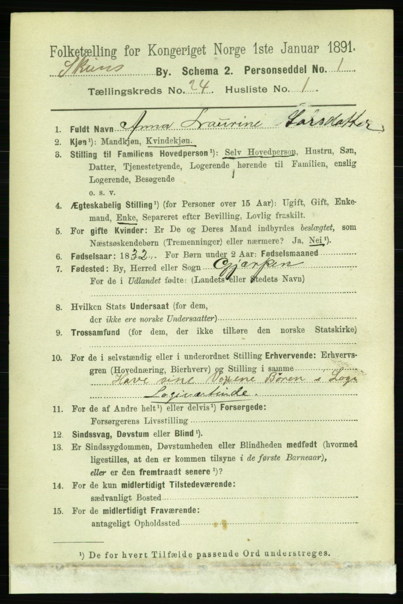 RA, 1891 census for 0806 Skien, 1891, p. 5889