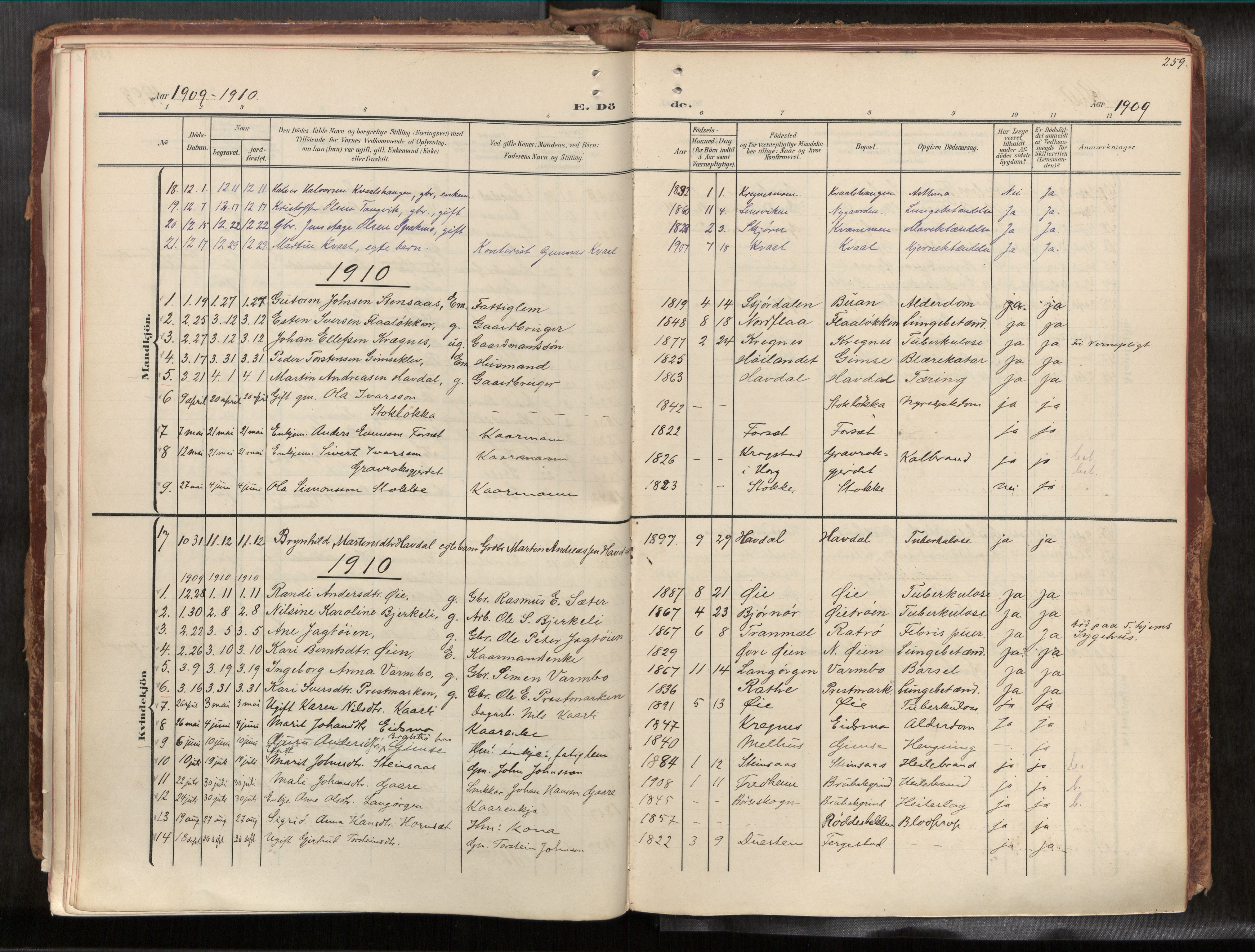 Ministerialprotokoller, klokkerbøker og fødselsregistre - Sør-Trøndelag, SAT/A-1456/691/L1085b: Parish register (official) no. 691A18, 1908-1930, p. 259