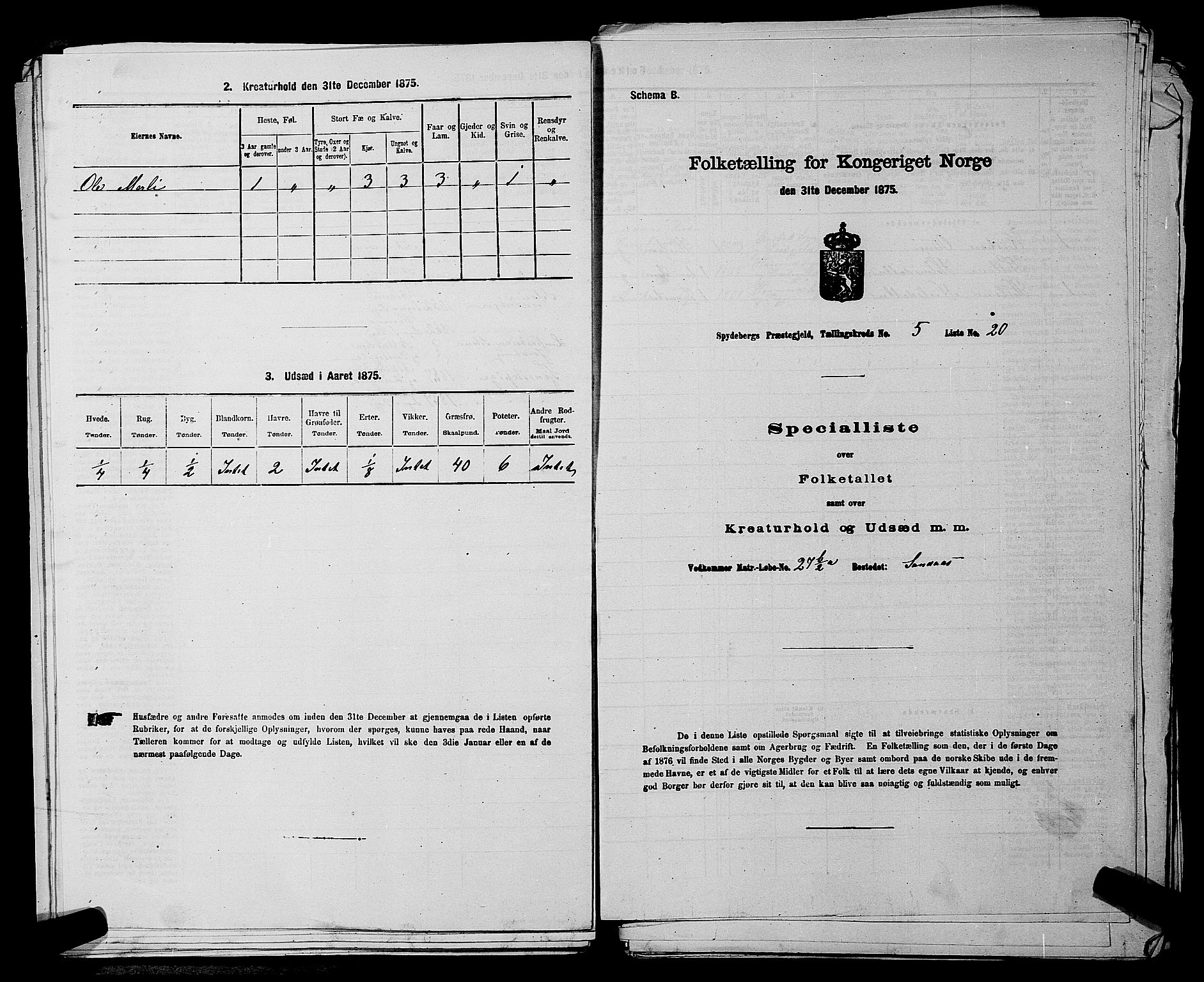 RA, 1875 census for 0123P Spydeberg, 1875, p. 680