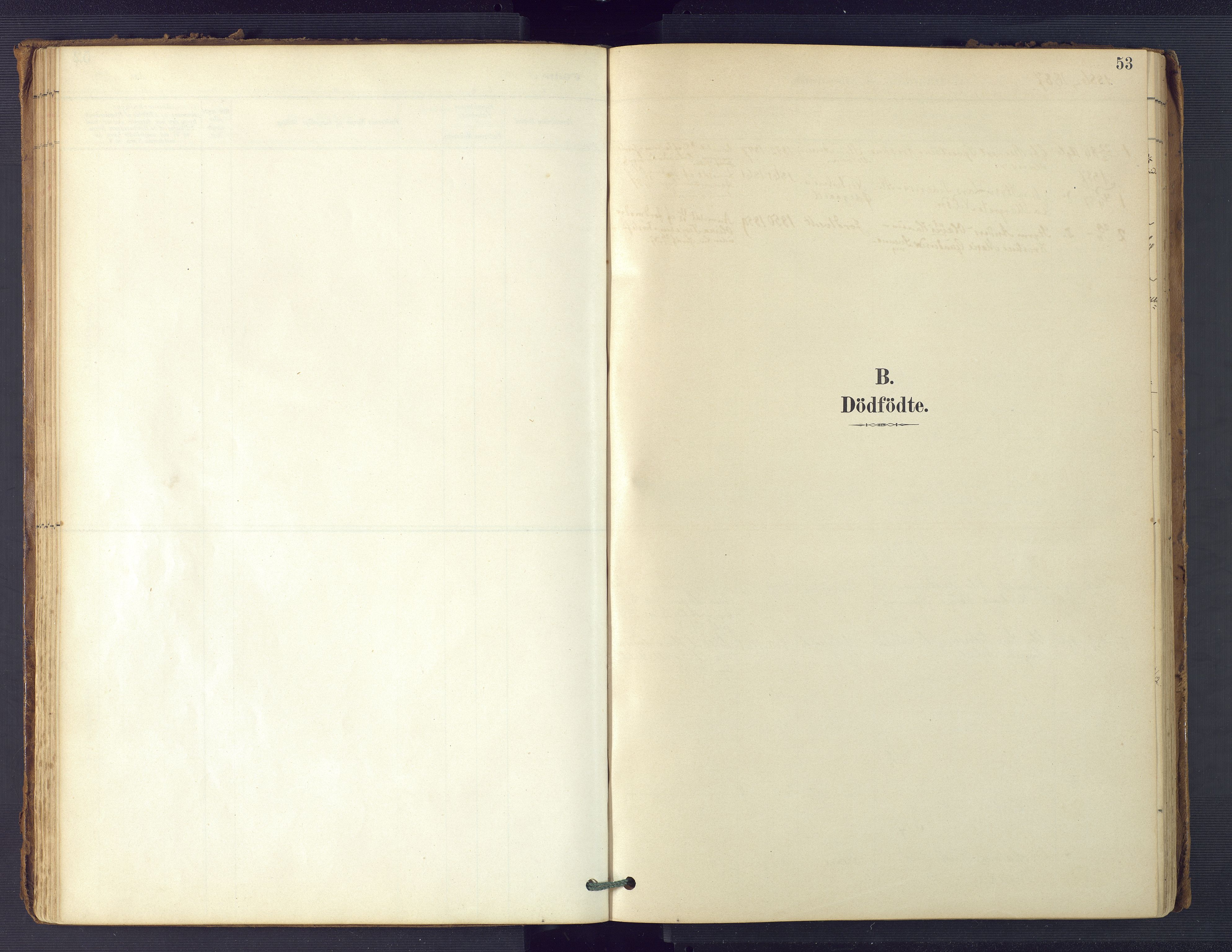 Hommedal sokneprestkontor, SAK/1111-0023/F/Fa/Faa/L0003: Parish register (official) no. A 3, 1885-1916, p. 53