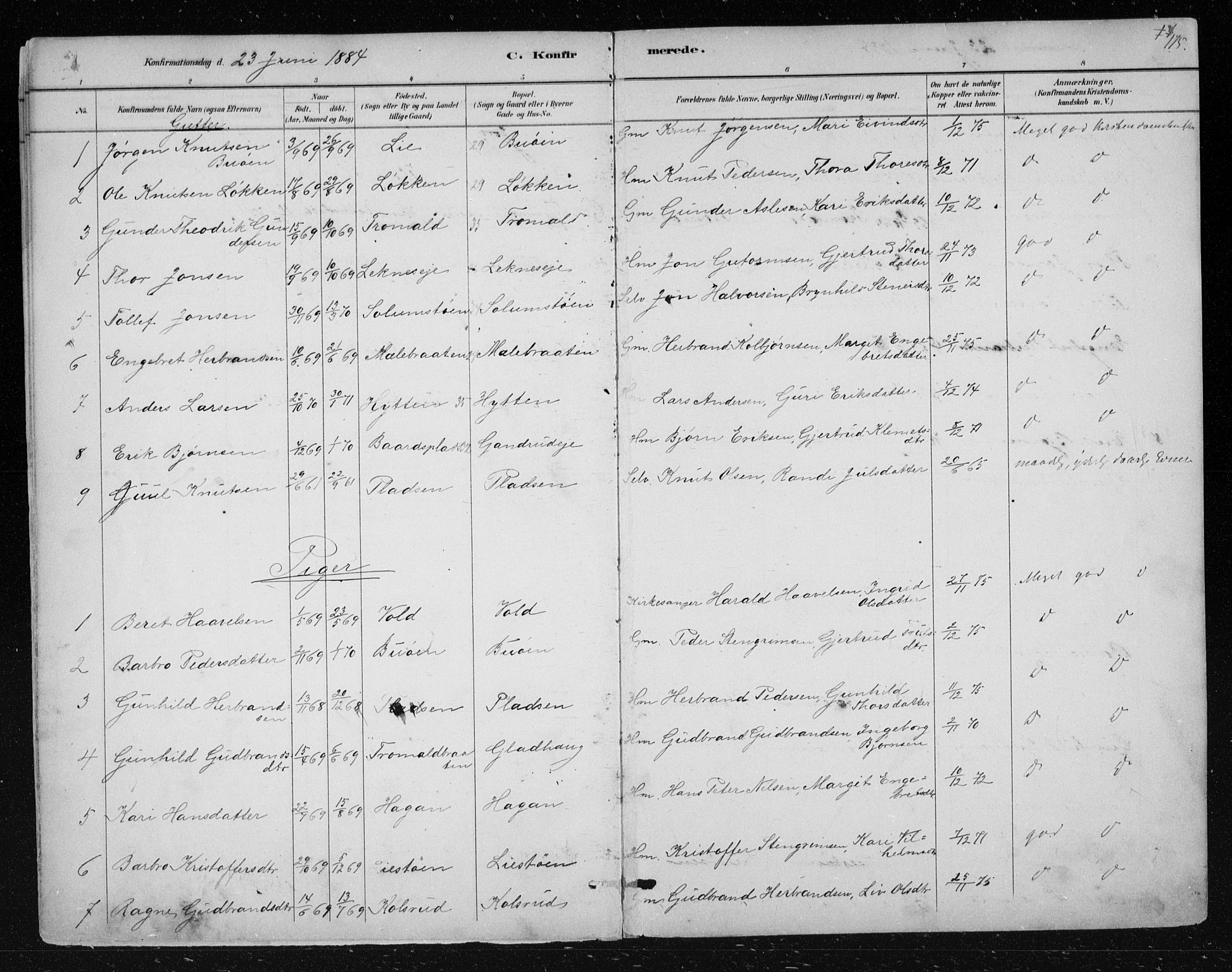 Nes kirkebøker, SAKO/A-236/F/Fa/L0012: Parish register (official) no. 12, 1881-1917, p. 175
