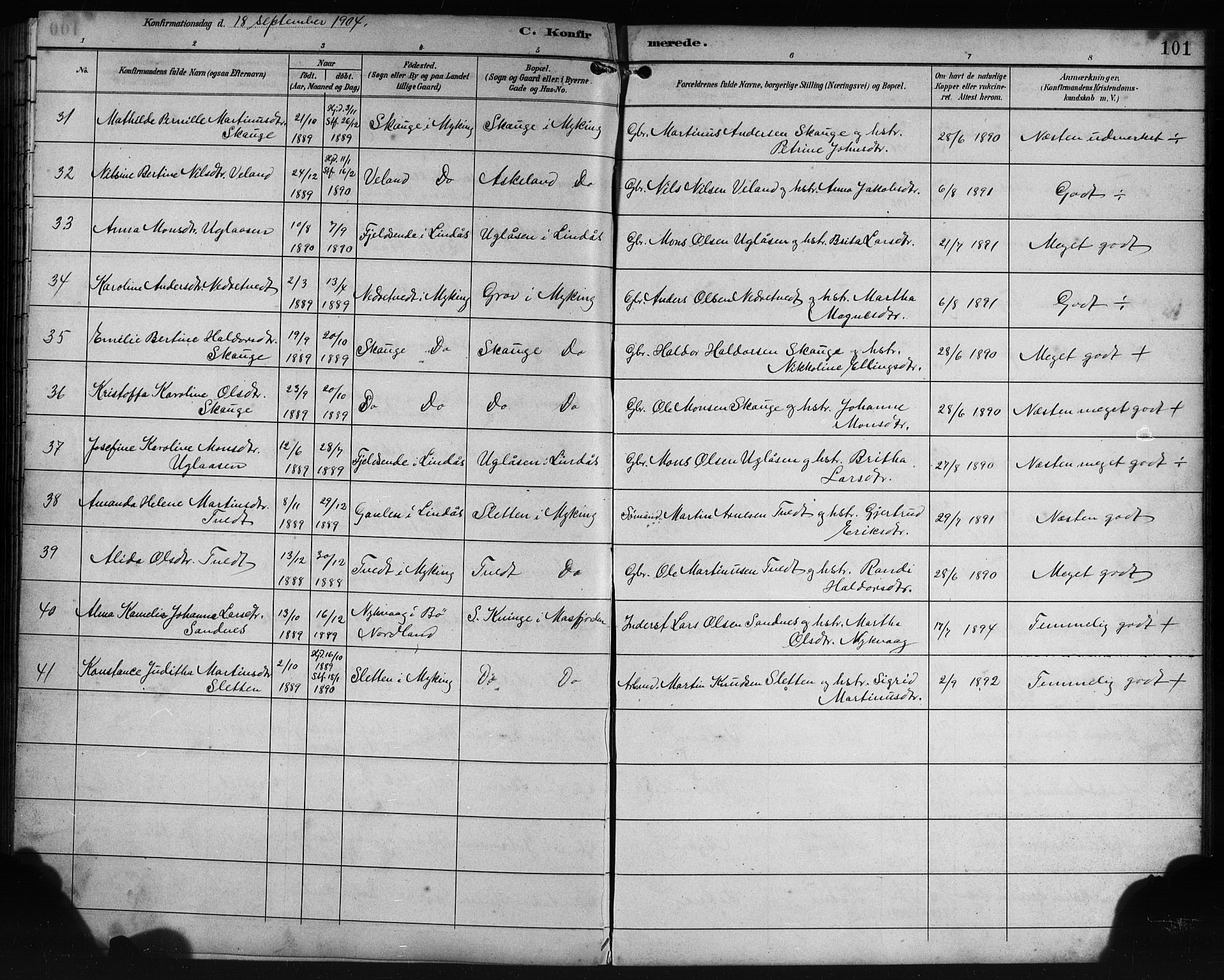 Lindås Sokneprestembete, SAB/A-76701/H/Hab: Parish register (copy) no. E 3, 1892-1905, p. 101