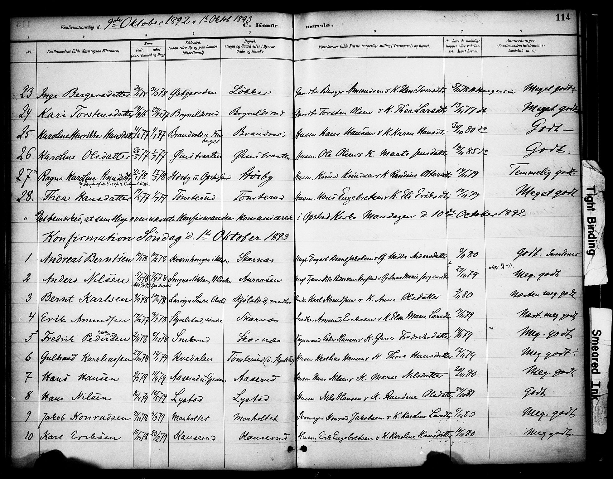 Sør-Odal prestekontor, AV/SAH-PREST-030/H/Ha/Haa/L0009: Parish register (official) no. 9, 1886-1926, p. 114