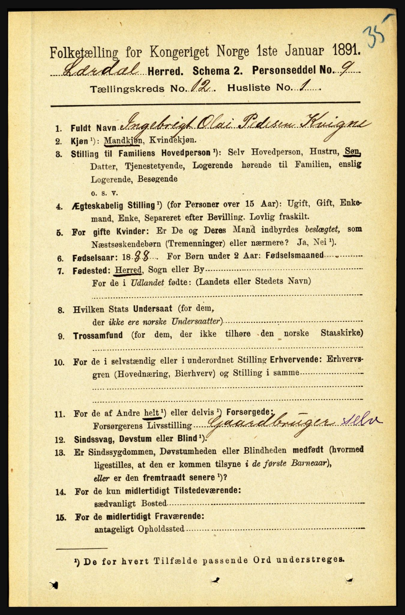 RA, 1891 census for 1422 Lærdal, 1891, p. 2556