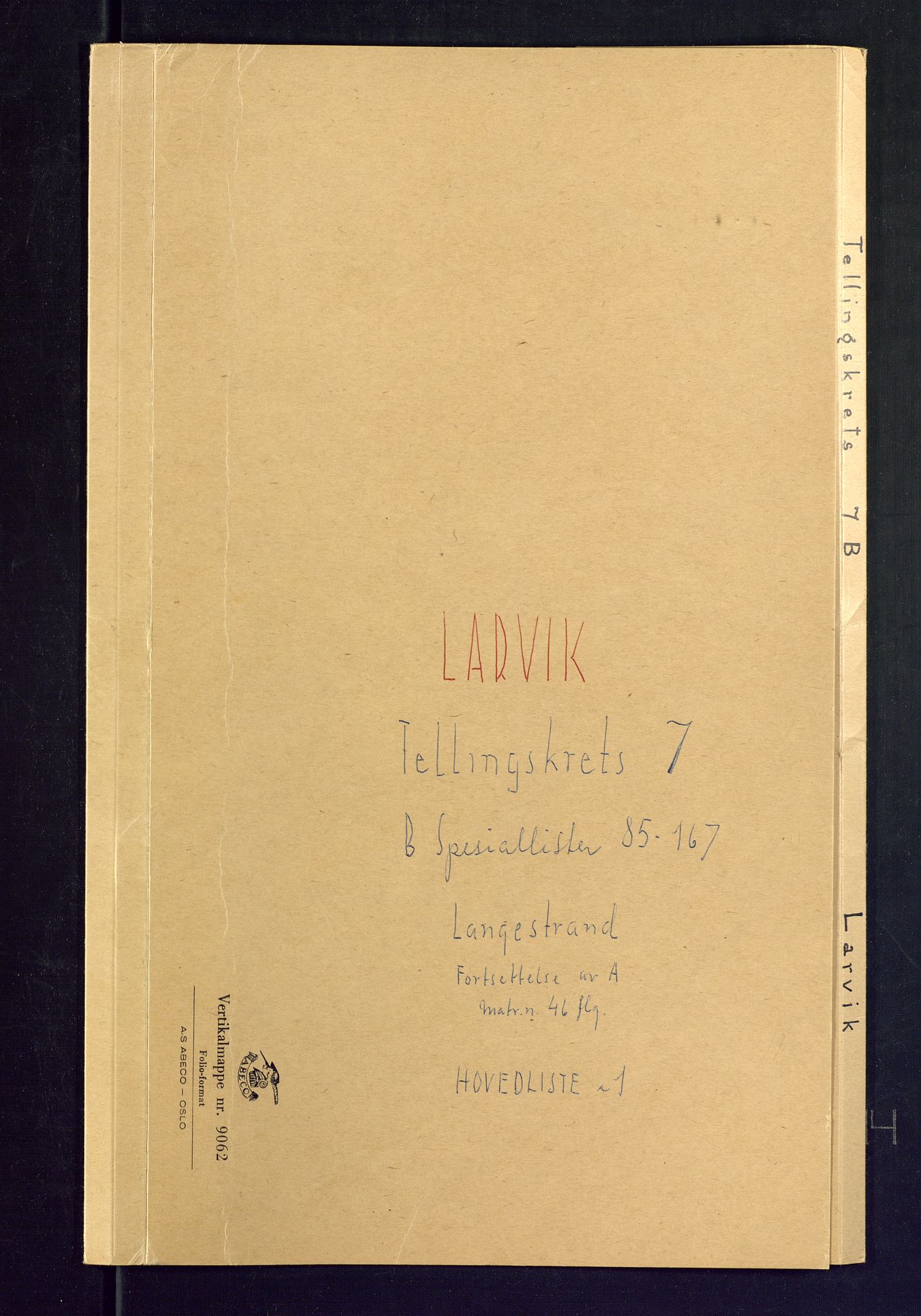 SAKO, 1875 census for 0707P Larvik, 1875, p. 21