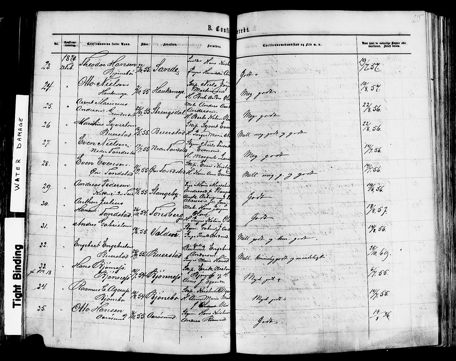 Nøtterøy kirkebøker, AV/SAKO-A-354/F/Fa/L0007: Parish register (official) no. I 7, 1865-1877, p. 215