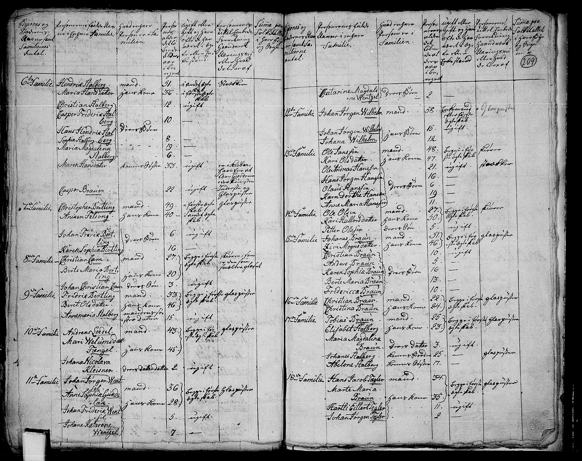 RA, 1801 census for 0525P Biri, 1801, p. 208b-209a