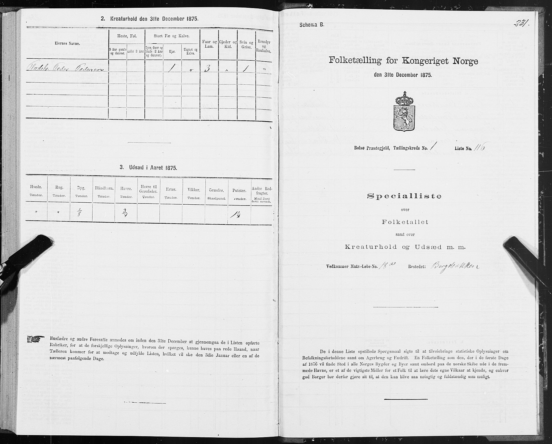 SAT, 1875 census for 1544P Bolsøy, 1875, p. 1231