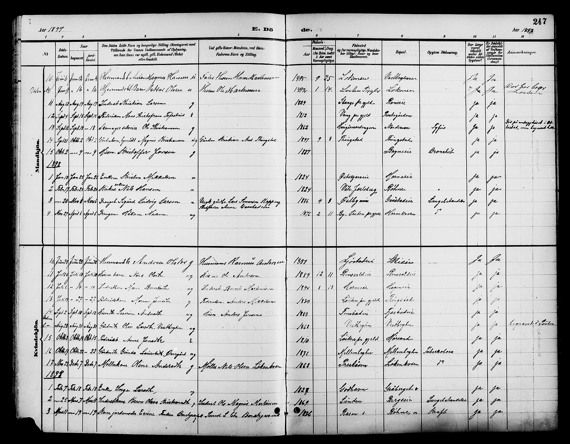 Romedal prestekontor, AV/SAH-PREST-004/L/L0012: Parish register (copy) no. 12, 1896-1914, p. 247