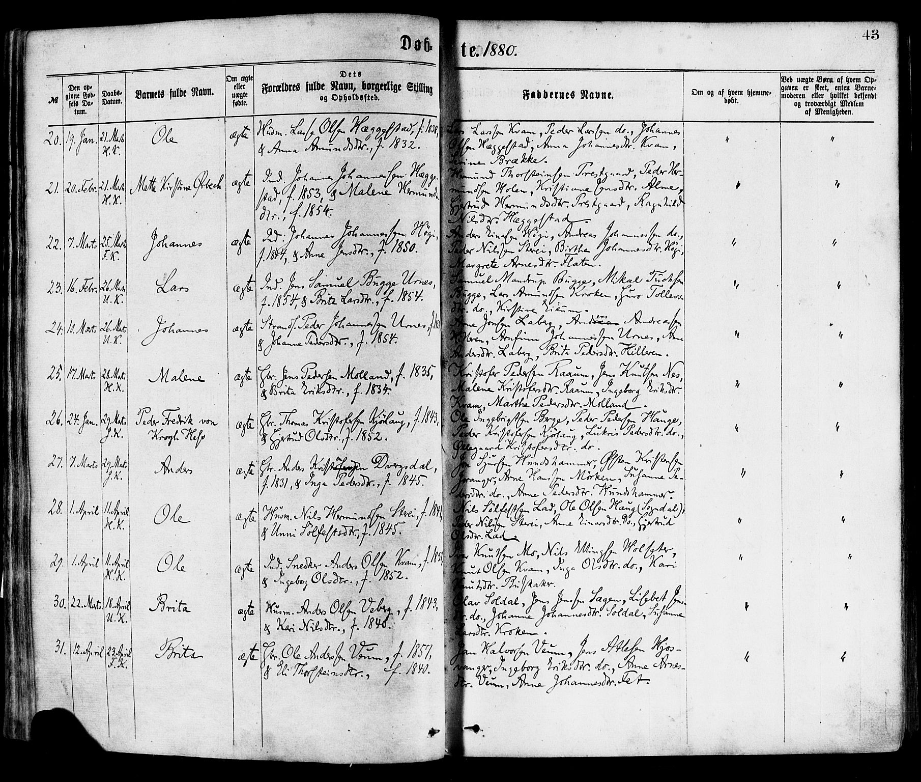 Hafslo sokneprestembete, AV/SAB-A-80301/H/Haa/Haaa/L0011: Parish register (official) no. A 11, 1873-1886, p. 43