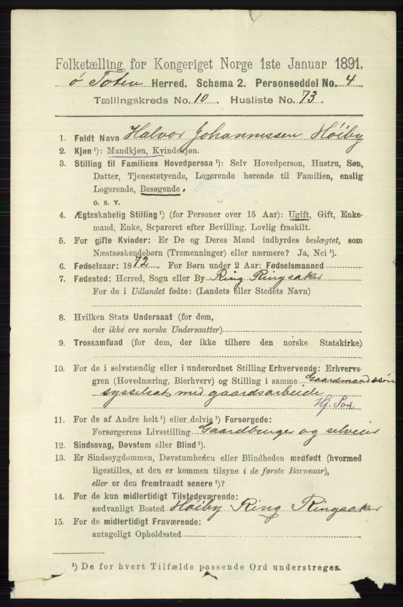 RA, 1891 census for 0528 Østre Toten, 1891, p. 6806