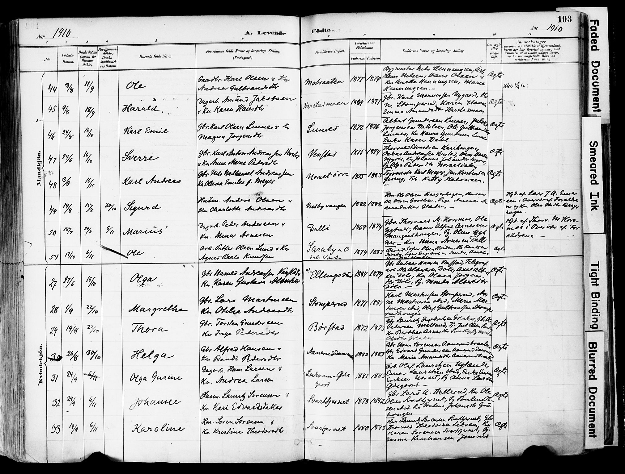 Sør-Odal prestekontor, SAH/PREST-030/H/Ha/Haa/L0006: Parish register (official) no. 6, 1886-1931, p. 193