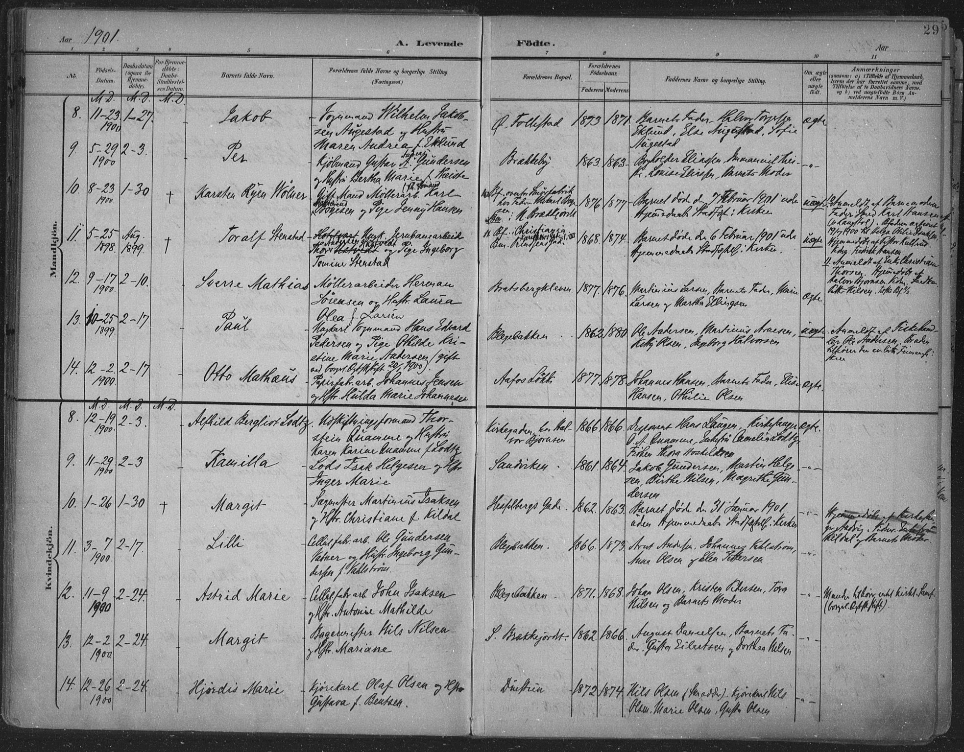 Skien kirkebøker, SAKO/A-302/F/Fa/L0011: Parish register (official) no. 11, 1900-1907, p. 29