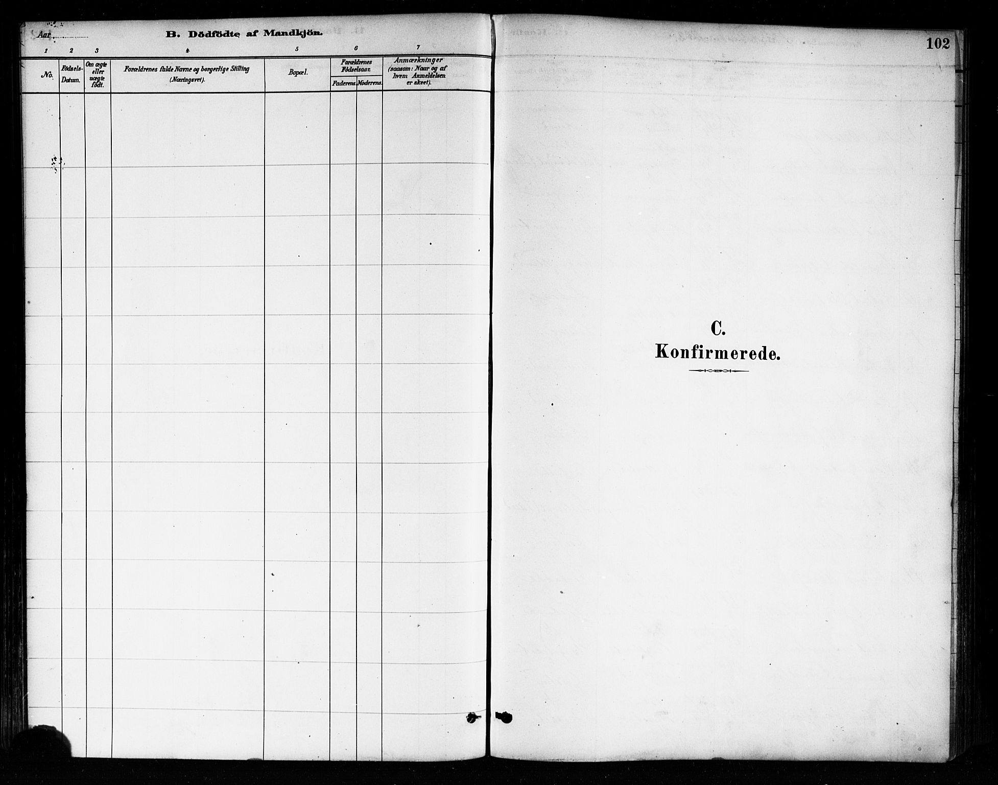 Askim prestekontor Kirkebøker, SAO/A-10900/F/Fa/L0007: Parish register (official) no. 7, 1882-1897, p. 102