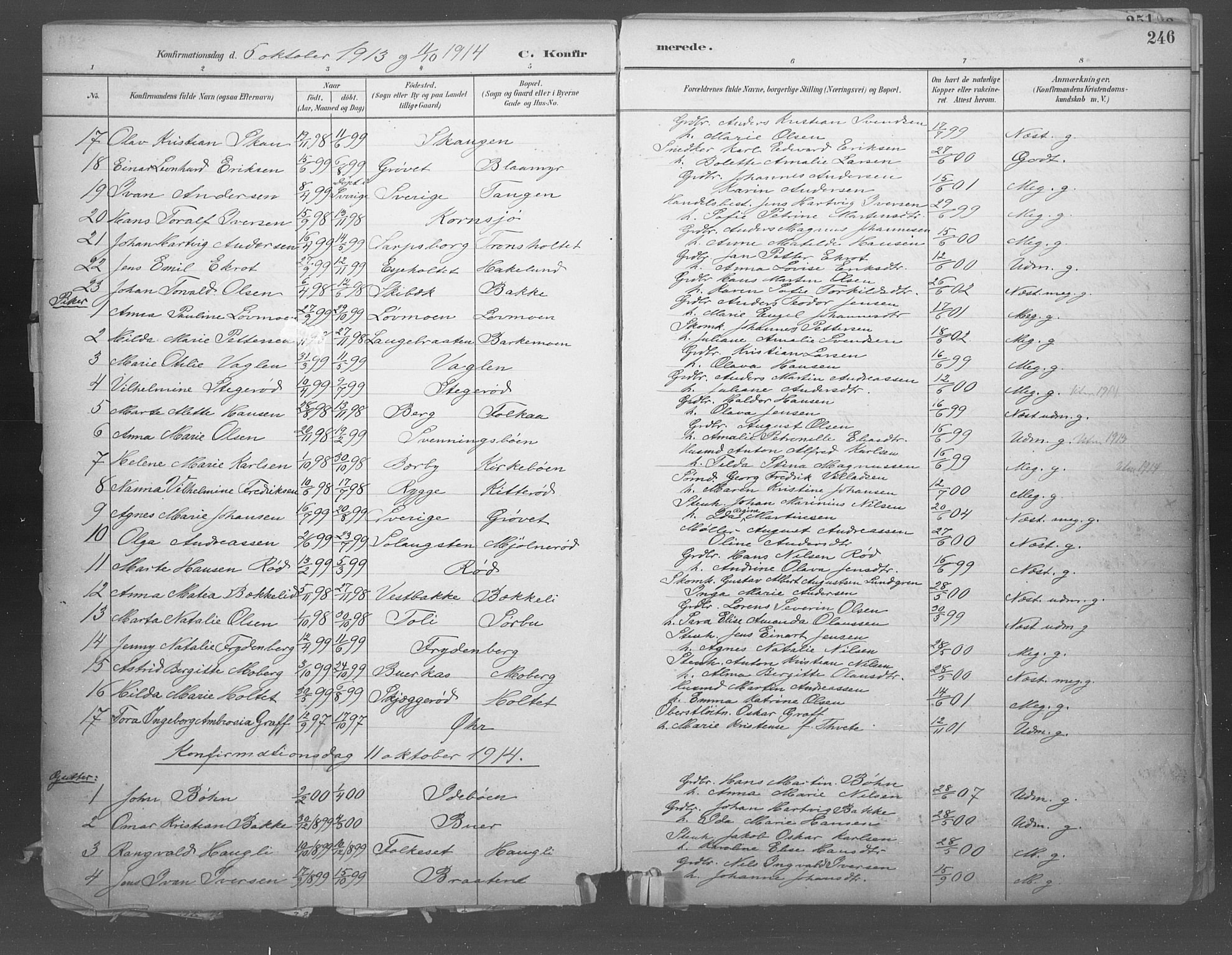 Idd prestekontor Kirkebøker, SAO/A-10911/F/Fb/L0002: Parish register (official) no. II 2, 1882-1923, p. 246