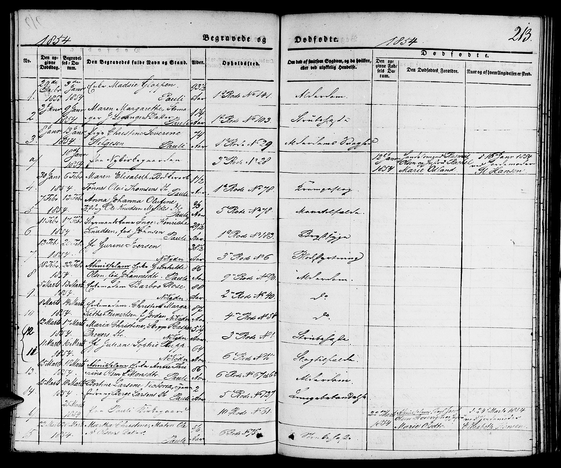 Nykirken Sokneprestembete, SAB/A-77101/H/Hab: Parish register (copy) no. E 1, 1840-1866, p. 213