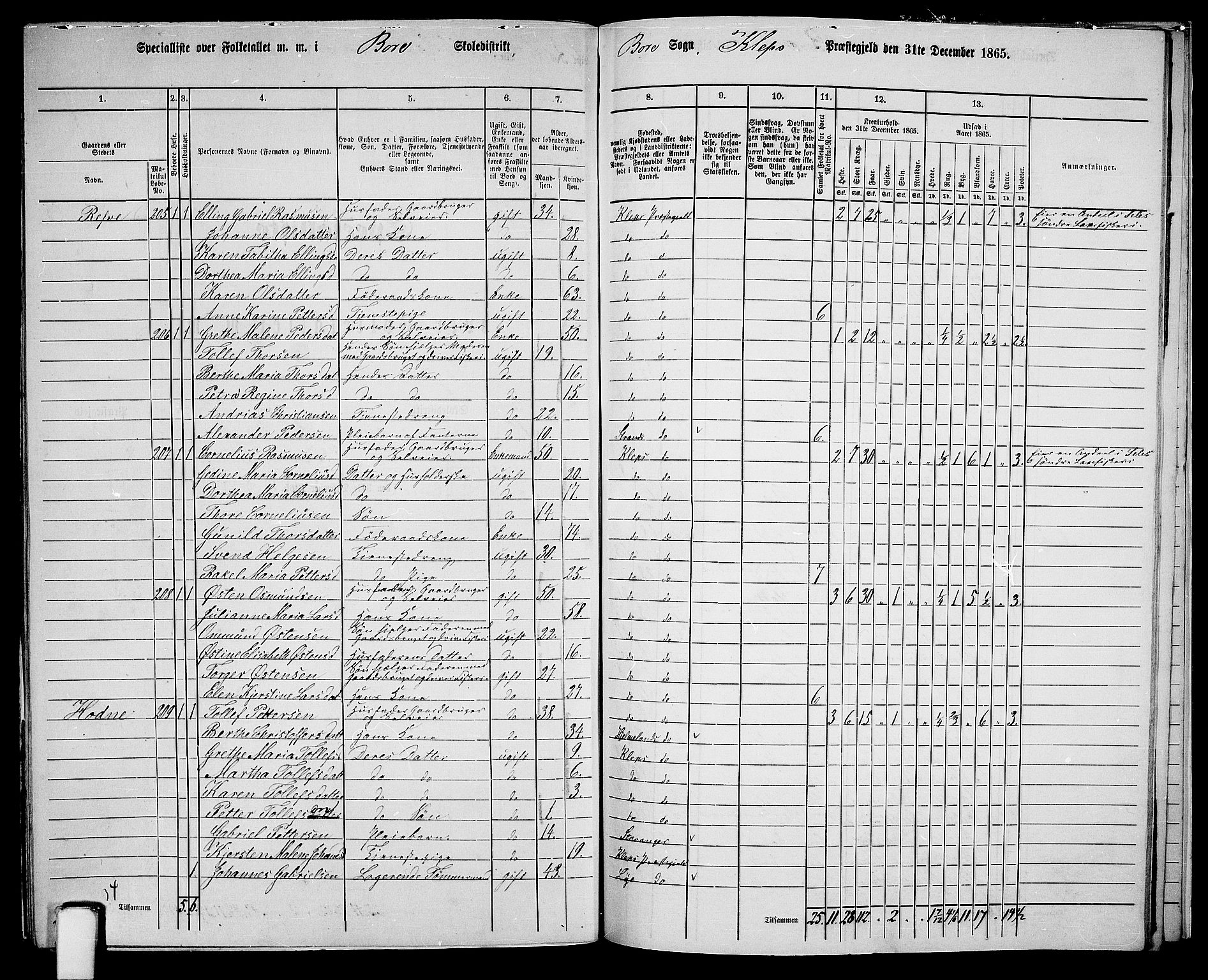 RA, 1865 census for Klepp, 1865, p. 79